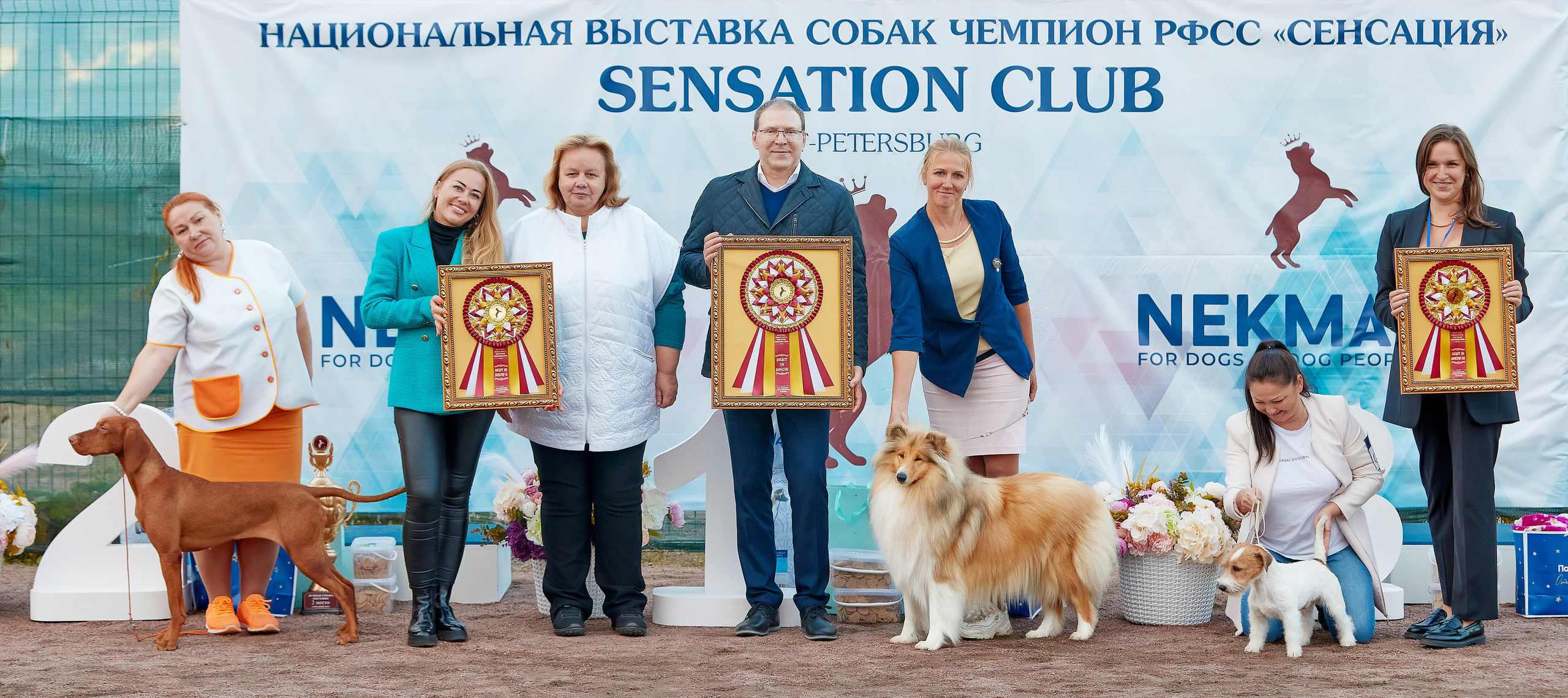 10-11.02.2024 ВЫСТАВКА СОБАК ВСЕХ ПОРОД (САС, ЧФ). Кинологический клуб РКФ РФСС СЕНСАЦИЯ