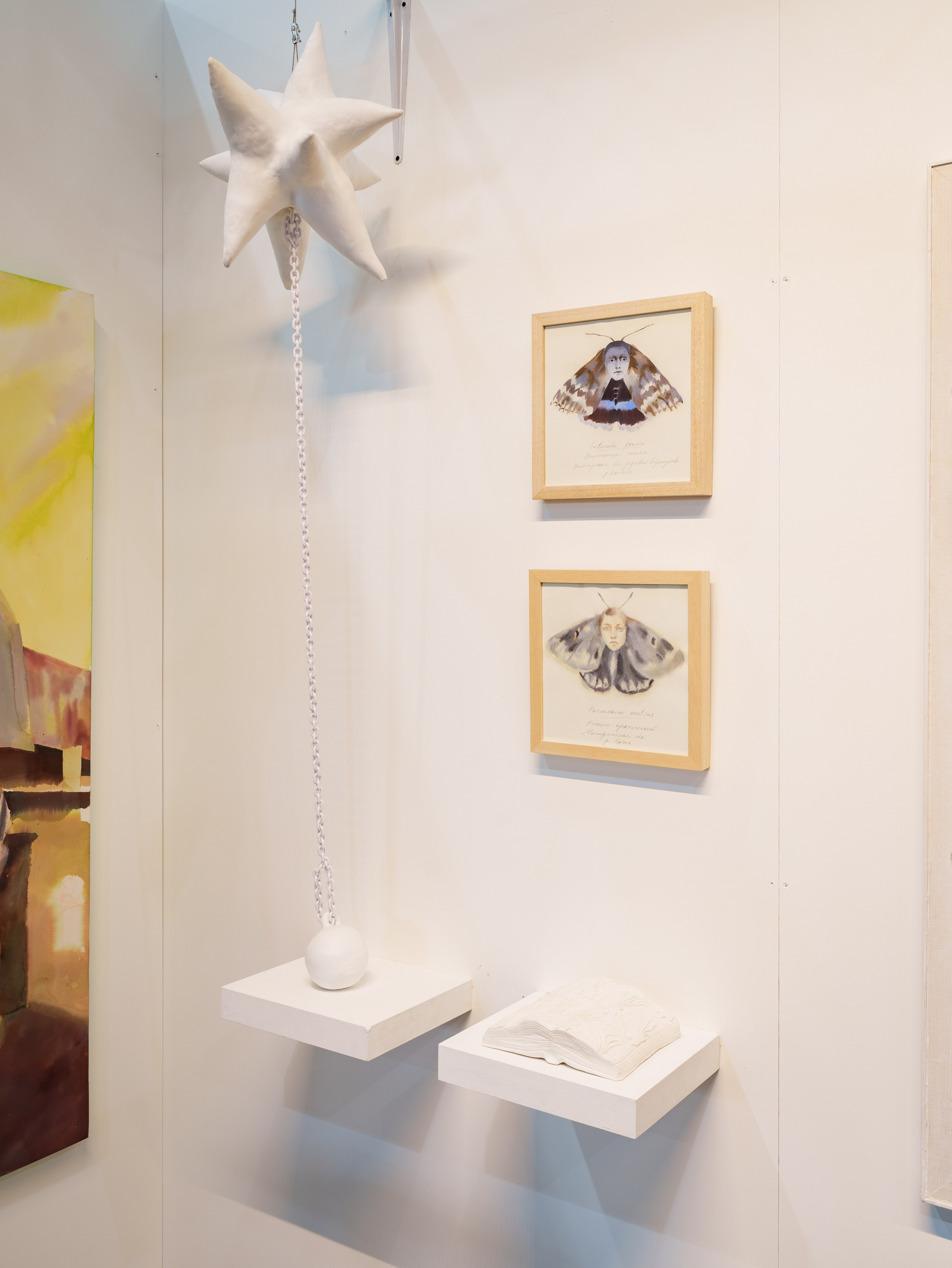 PAF' 25. Alina Kugush