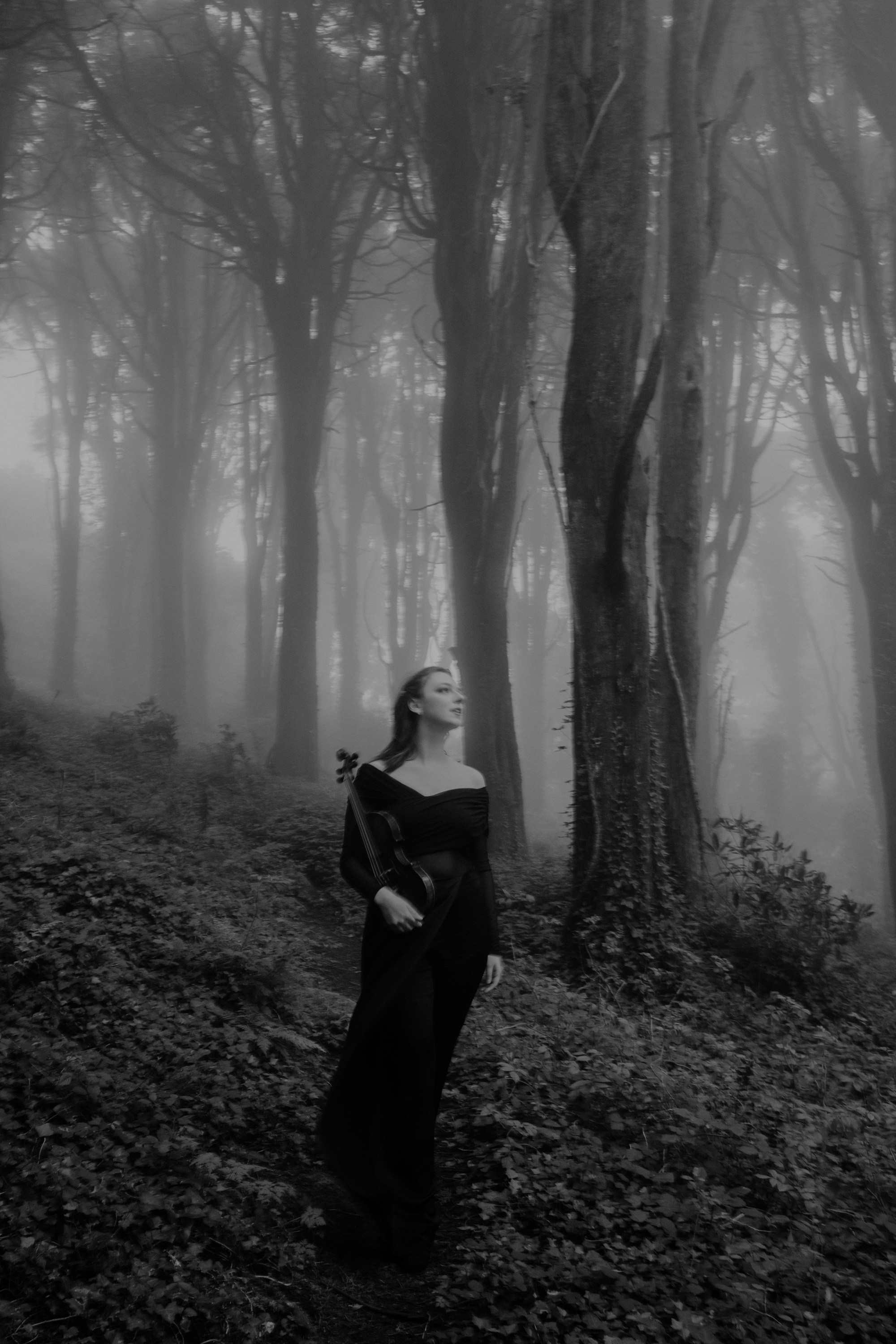 Обзор. Лило Даниелян | Visual artist