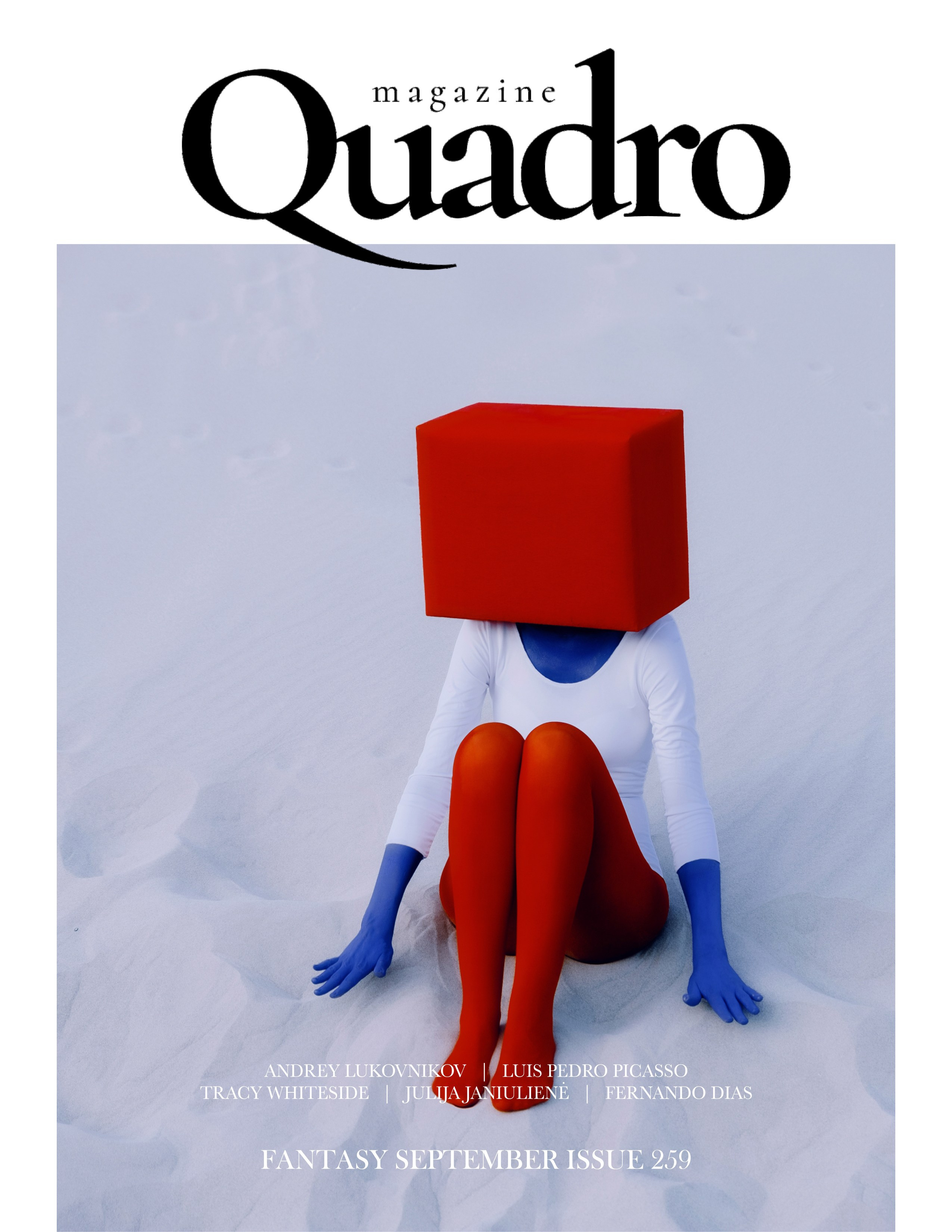 The best publications of the Project Cube