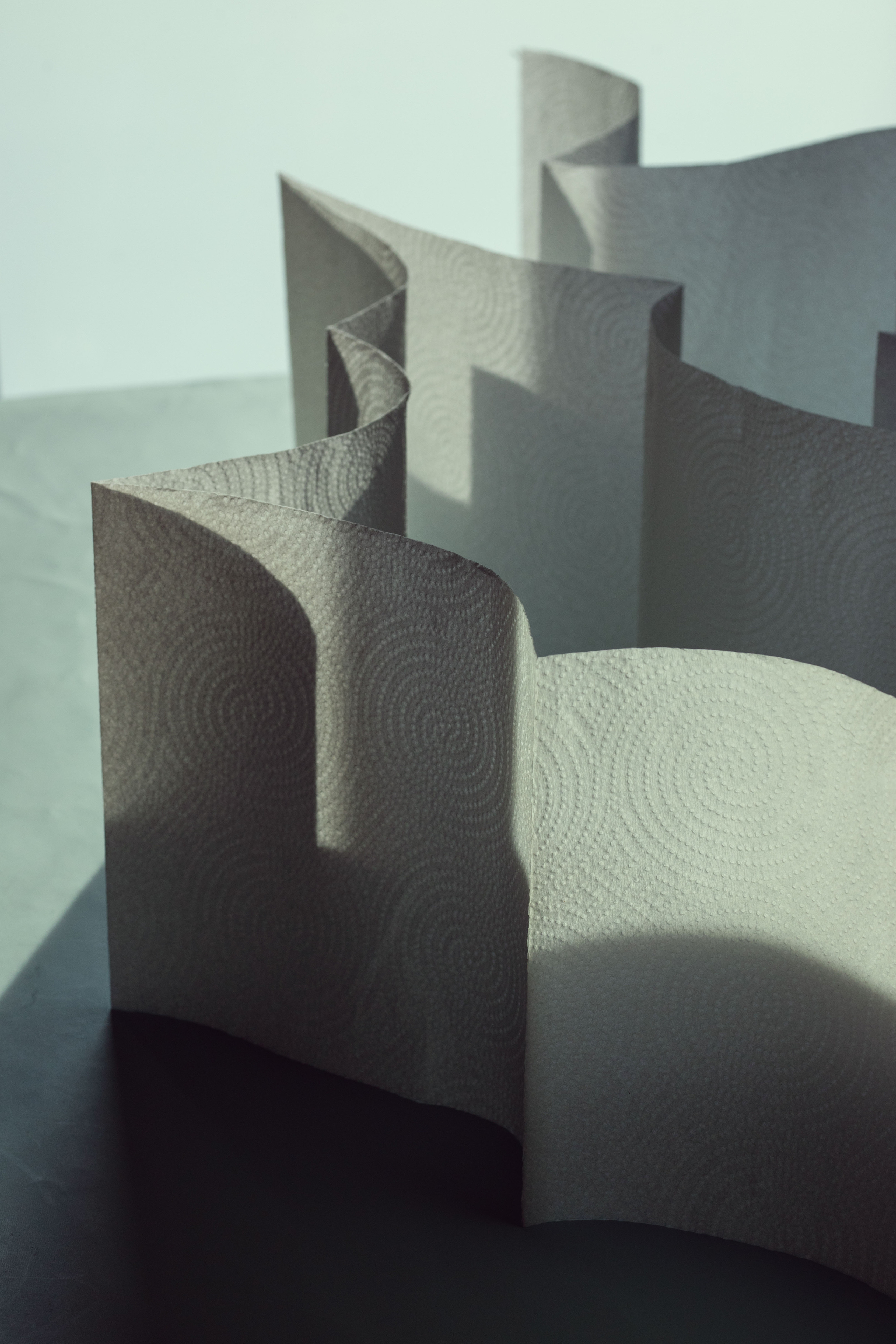 abstract; still life; contemporary; paper