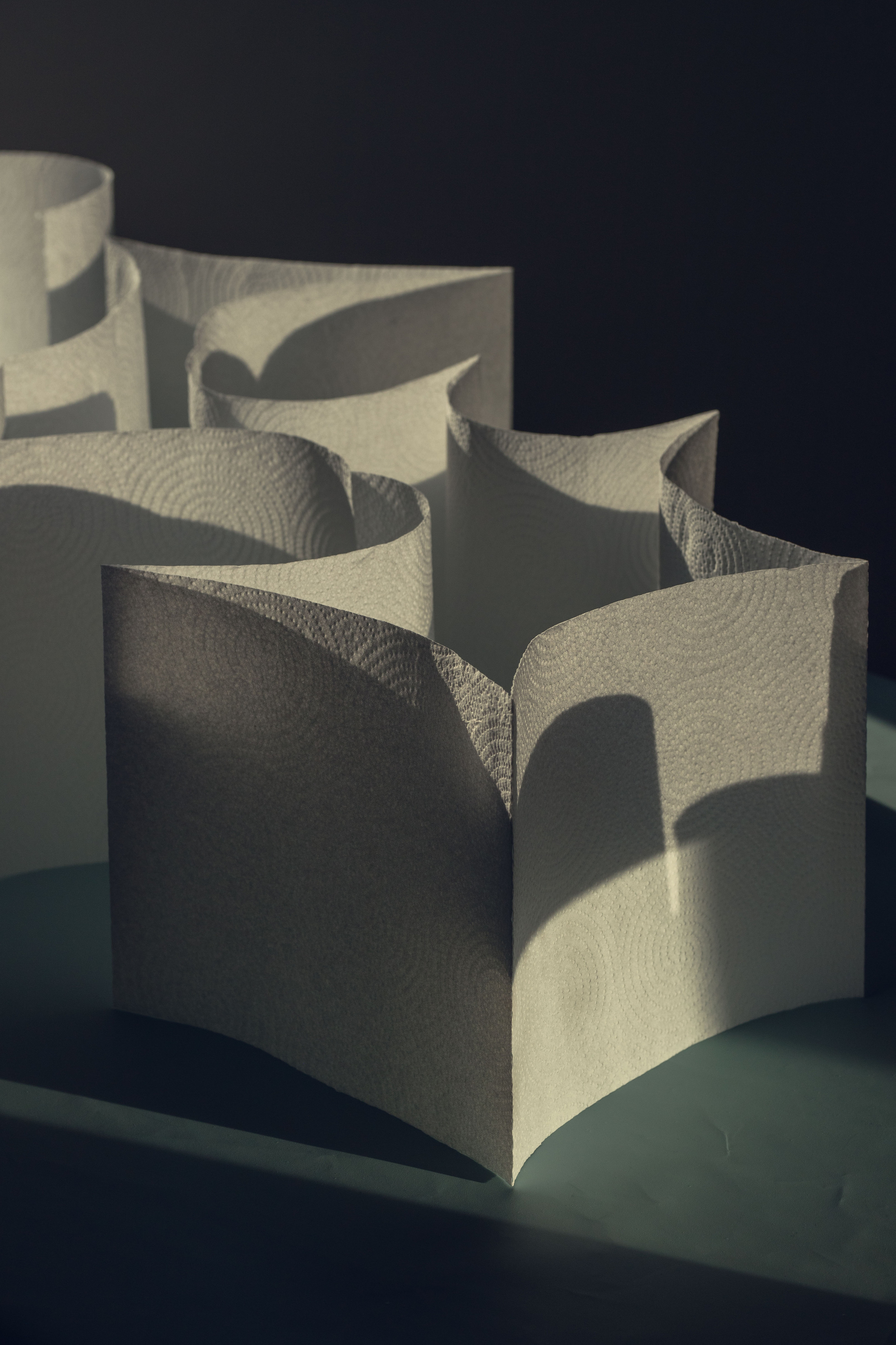 abstract; still life; contemporary; paper