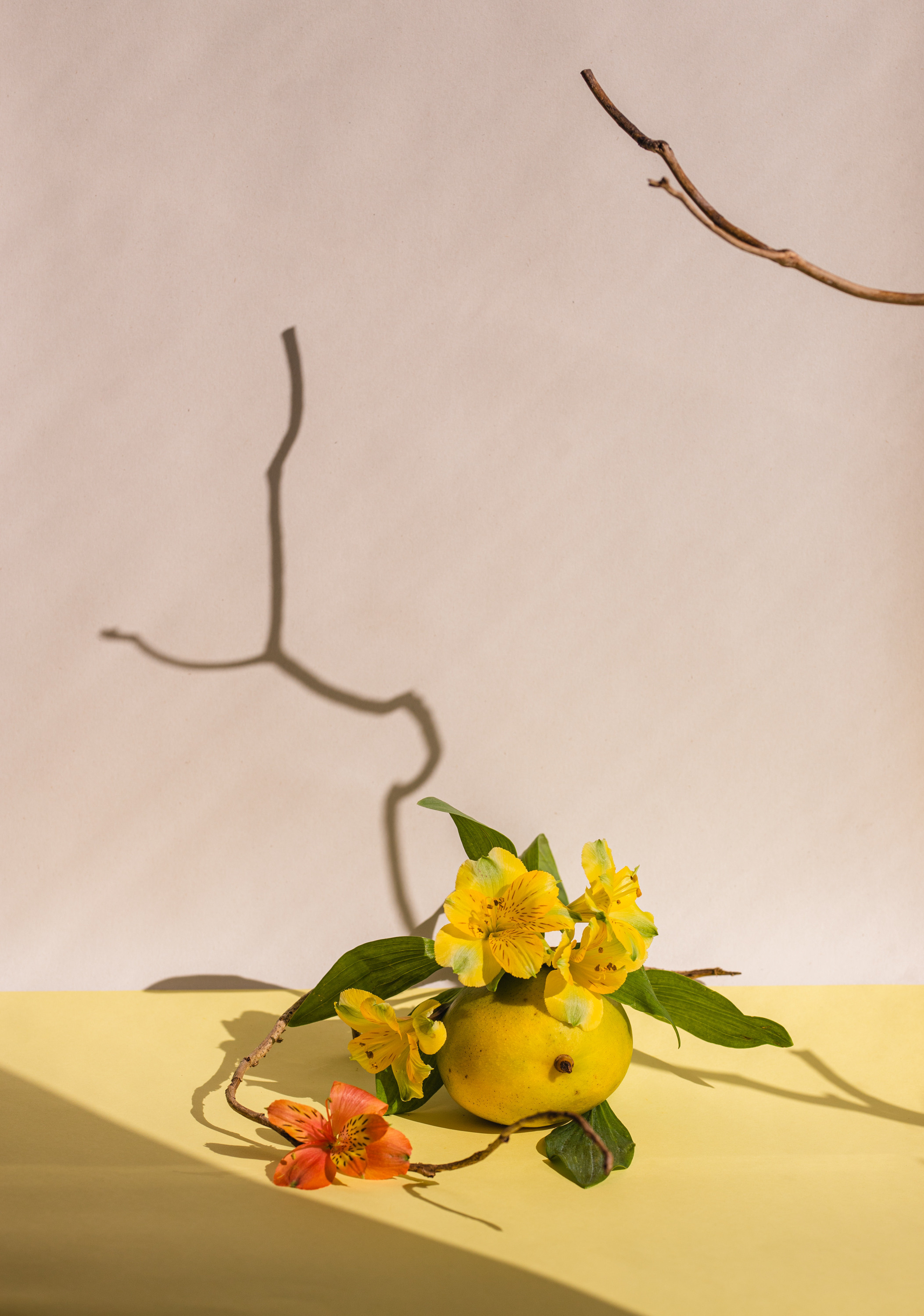 Mango frukebana contemporary still life inspired by ikebana