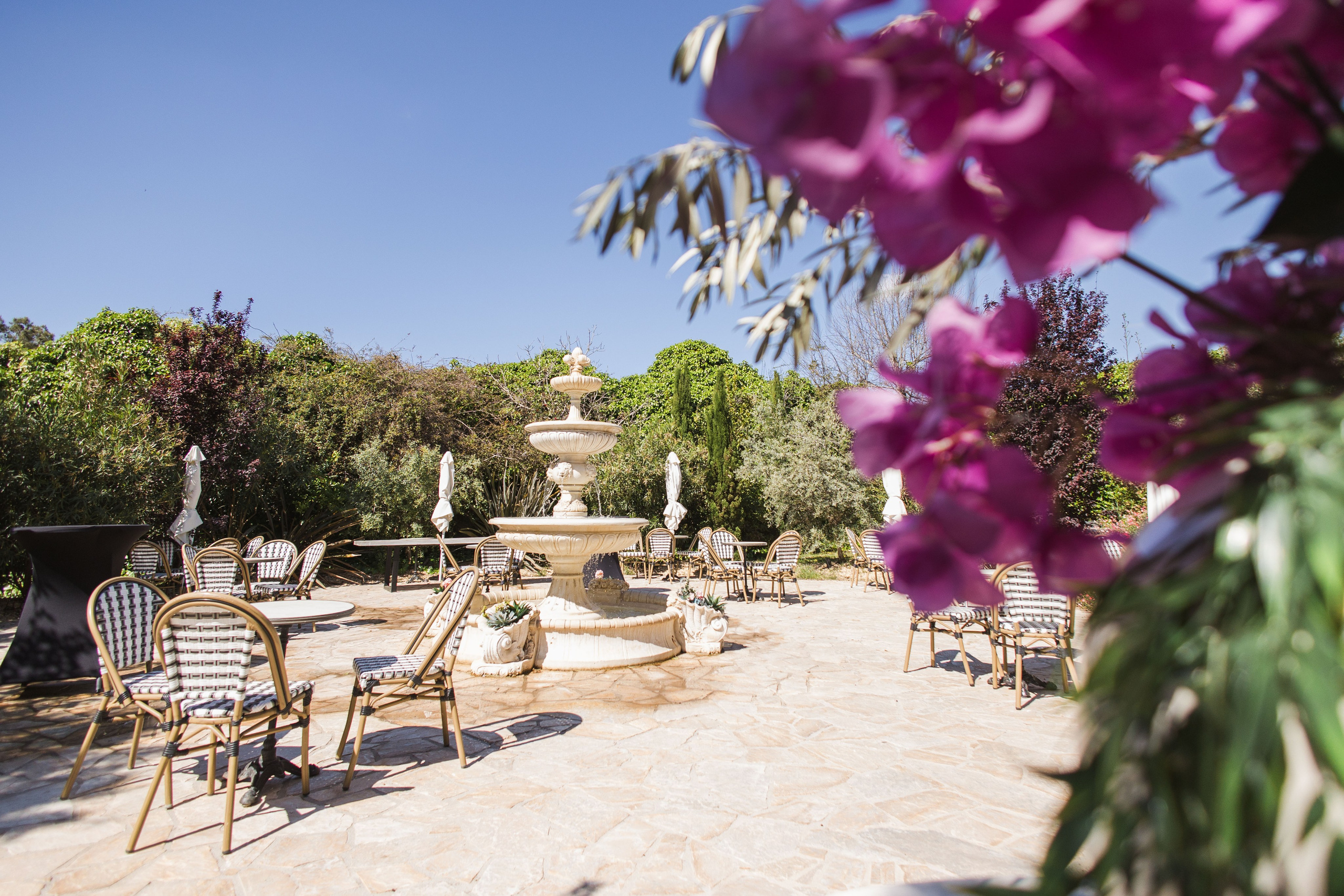 Gran Villa Rosa's garden with lovely flowers and sophisticated fountain - perfect spot for a cocktail hour