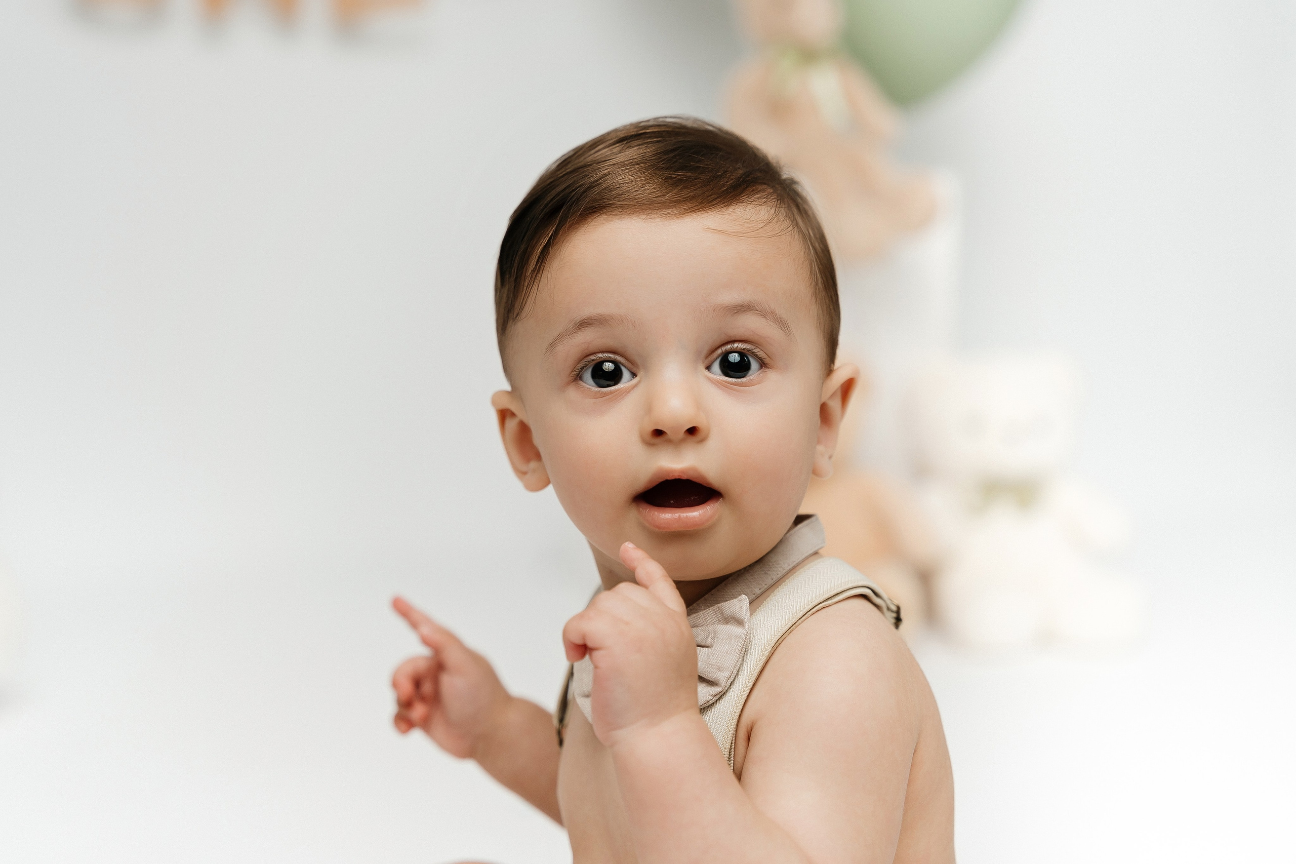 Teddy Bear One Year Cake Smash Photos. Newborn and family photographer. Hills District. Sydney