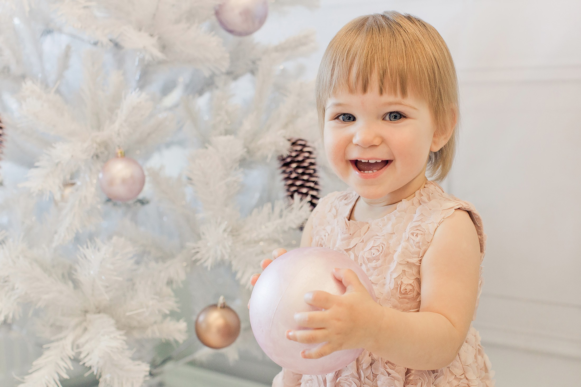 Joulukorttikuvaus 2025