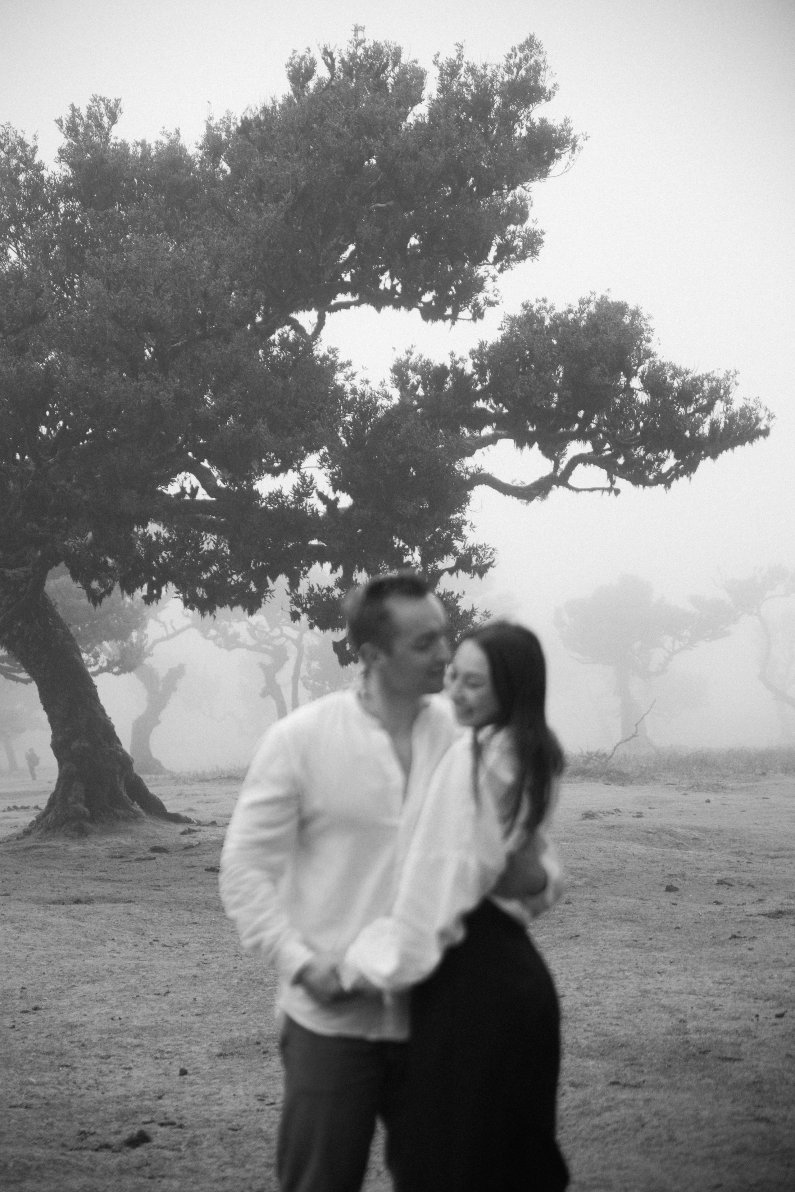 Magic of Fanal Forest. Wedding photographer and videographer based in Timisoara, Romania