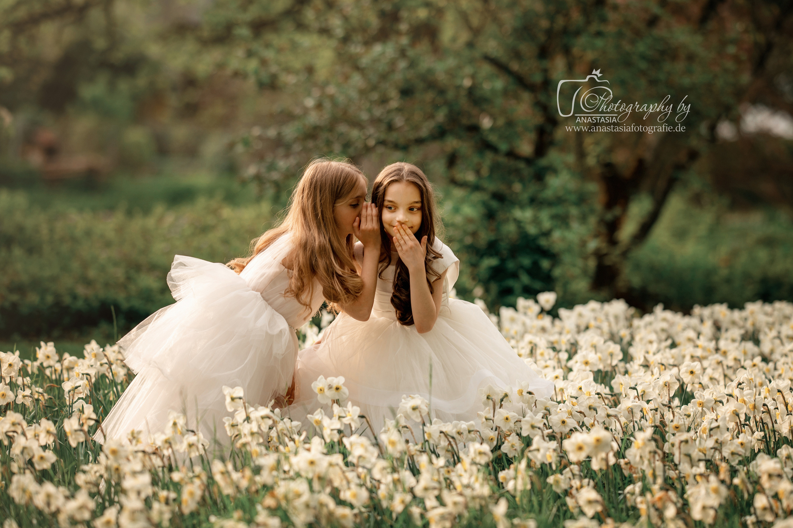 Kleine Prinzessinnen. Newbornfotograf Kinderfotograf Ulm Familienfotograf Anastasia Neu-Ulm