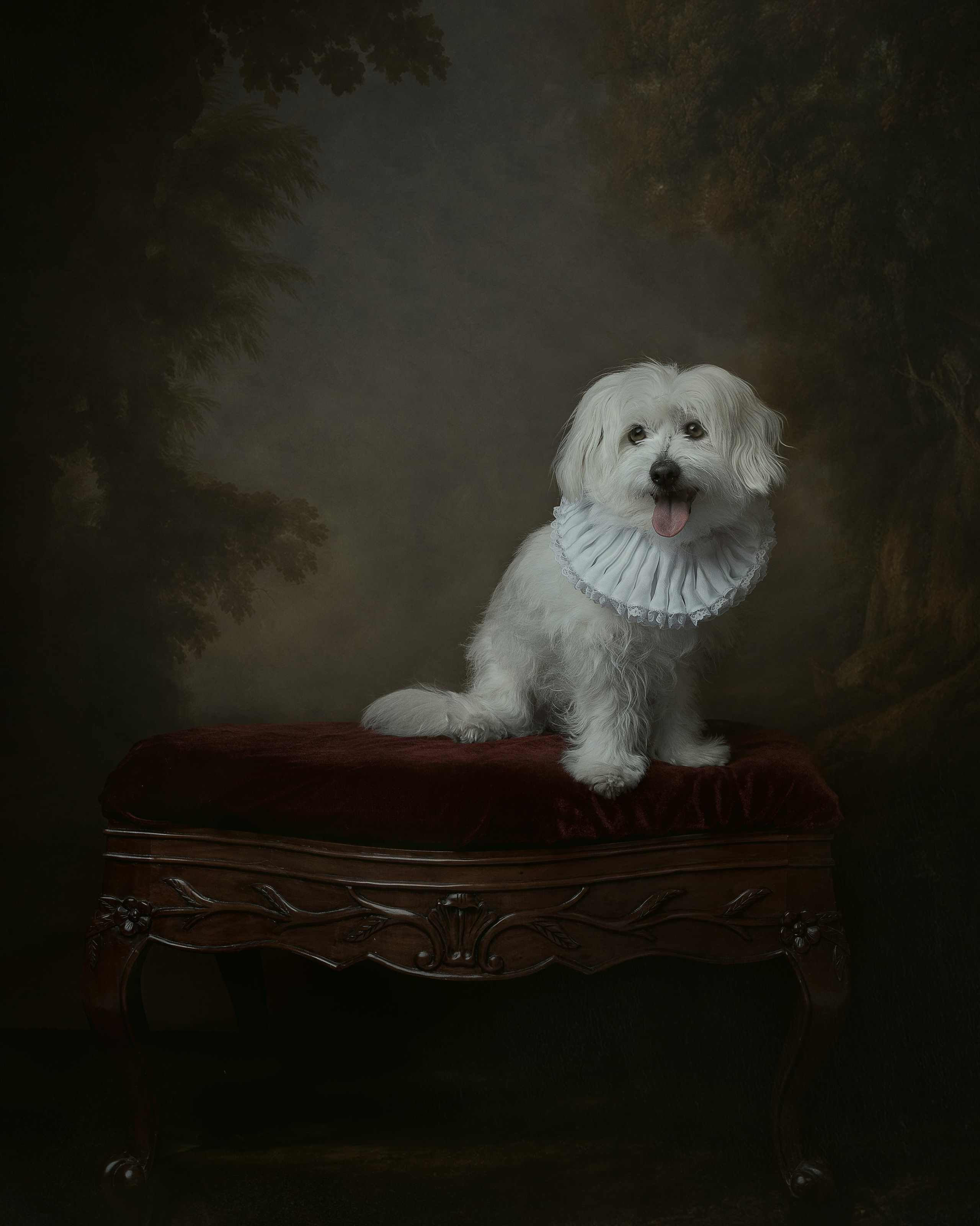 Sesiones. DIANA TRILLO_PHOTOGRAPHY