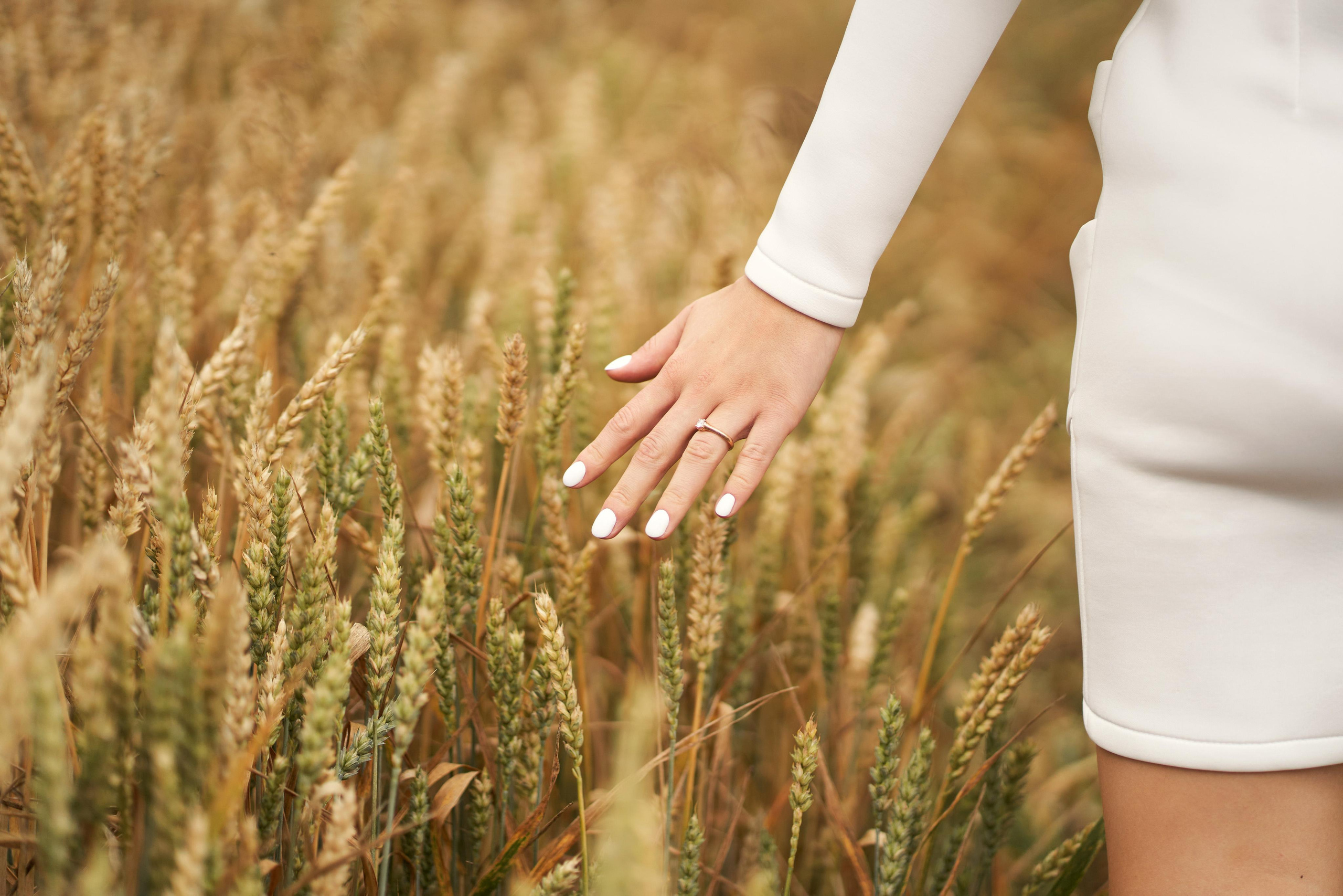 Reda ir Klaidas. Misevic Wedding — Tender and Professional Wedding Photography