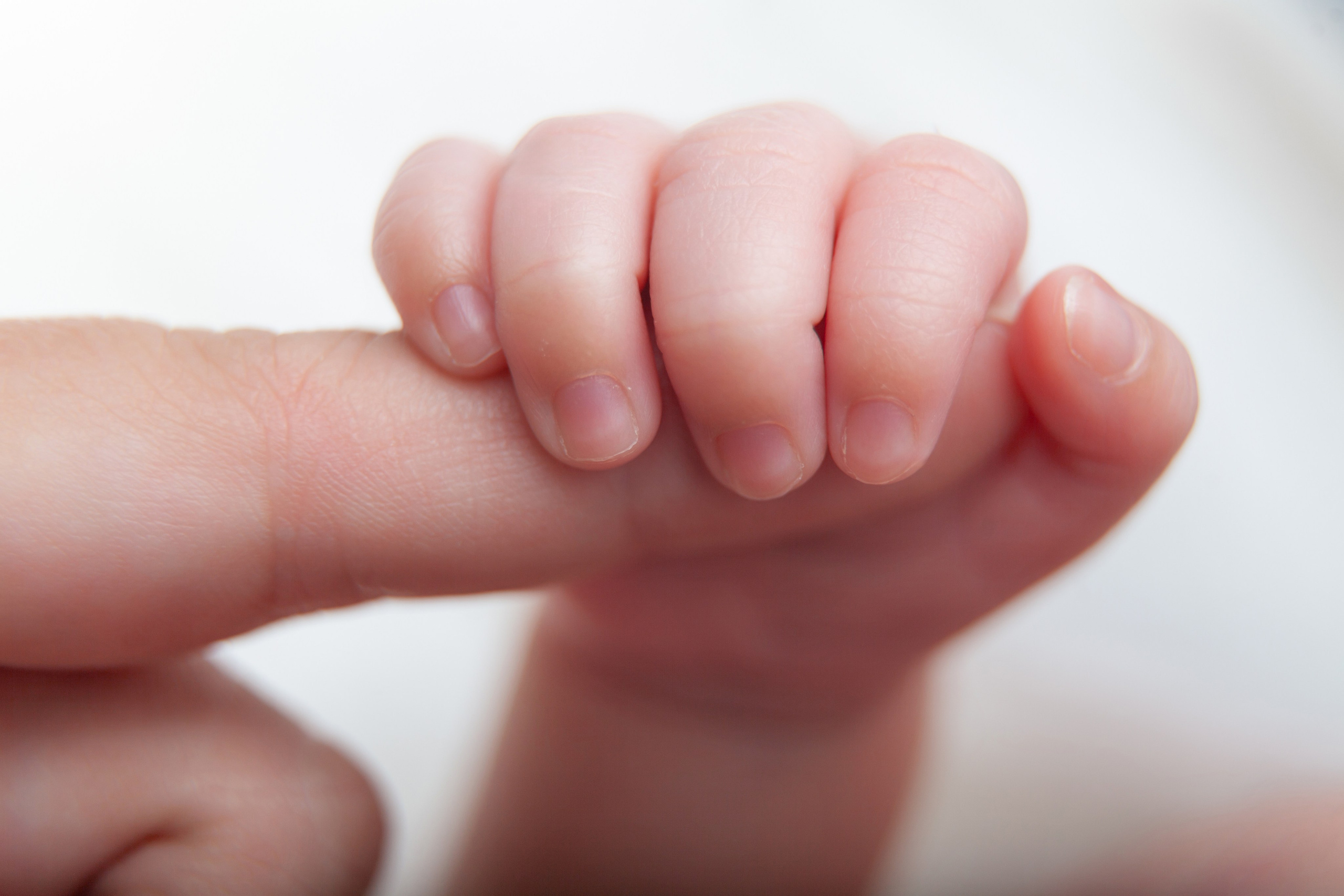 Services. Marina Pravda Photography San Francisco Bay Area