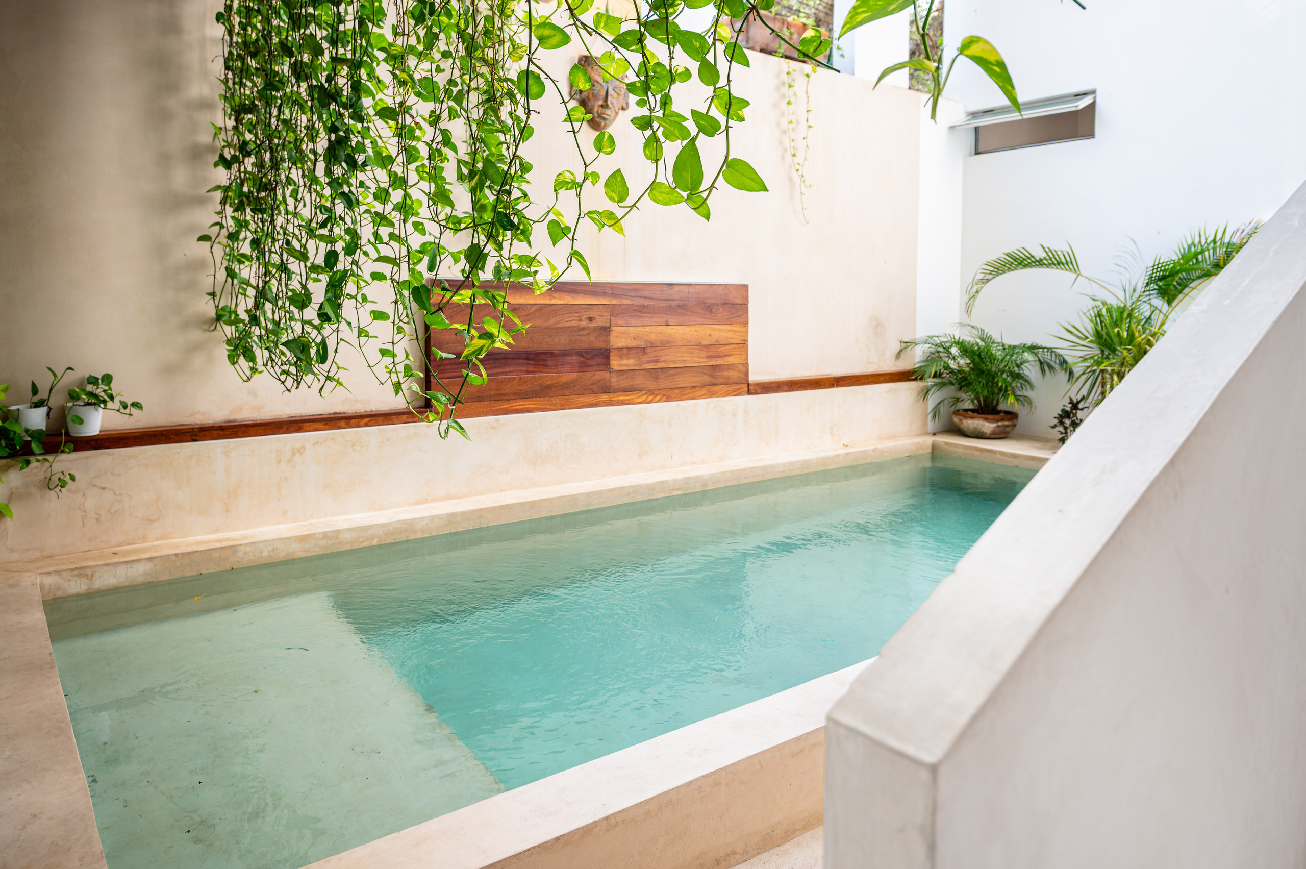 Central 40. ФОТОГРАФ МЕКСИКА КИНТАНА-РОО