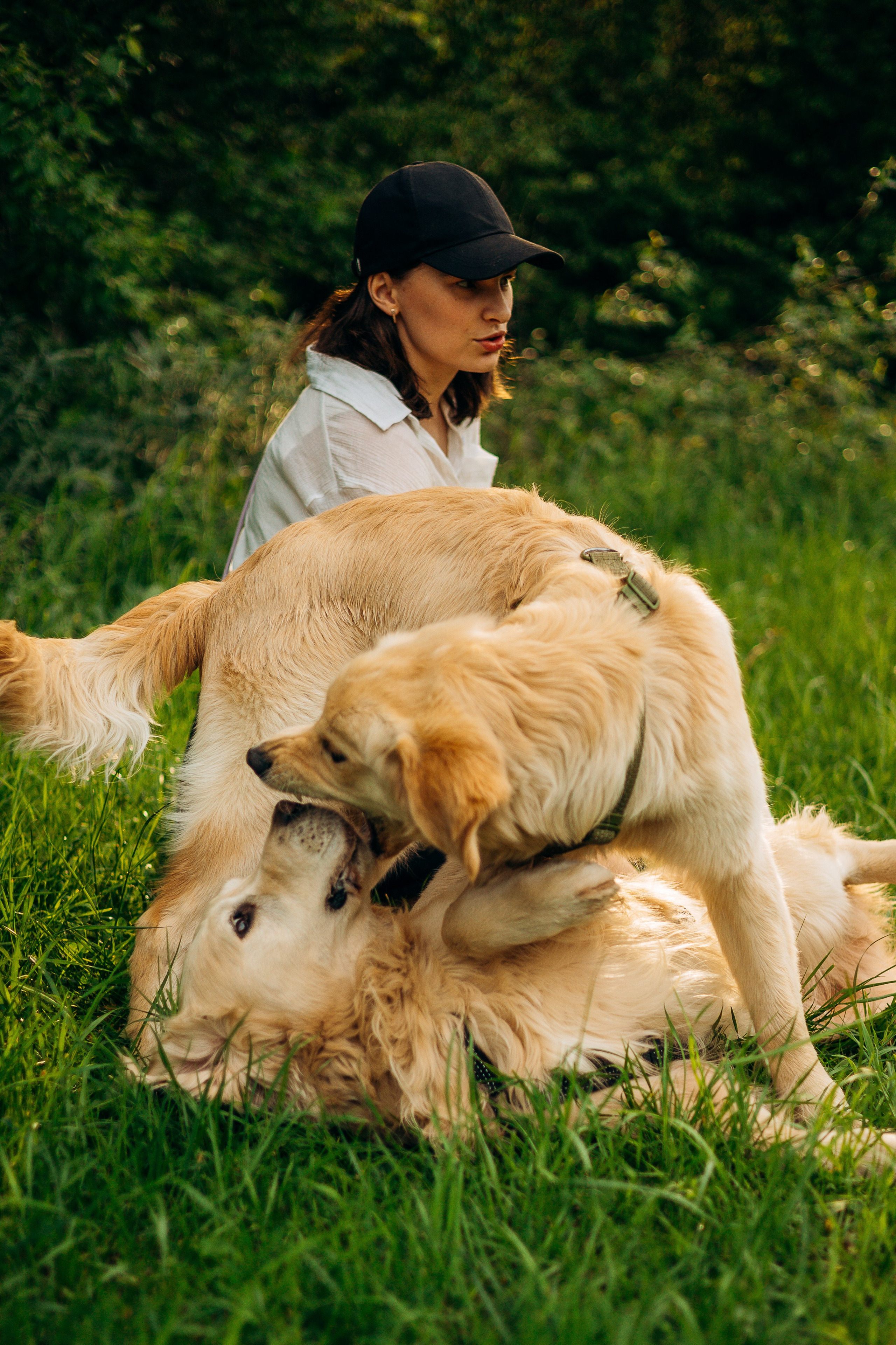 Обо мне. Фотограф-анималист | Белград