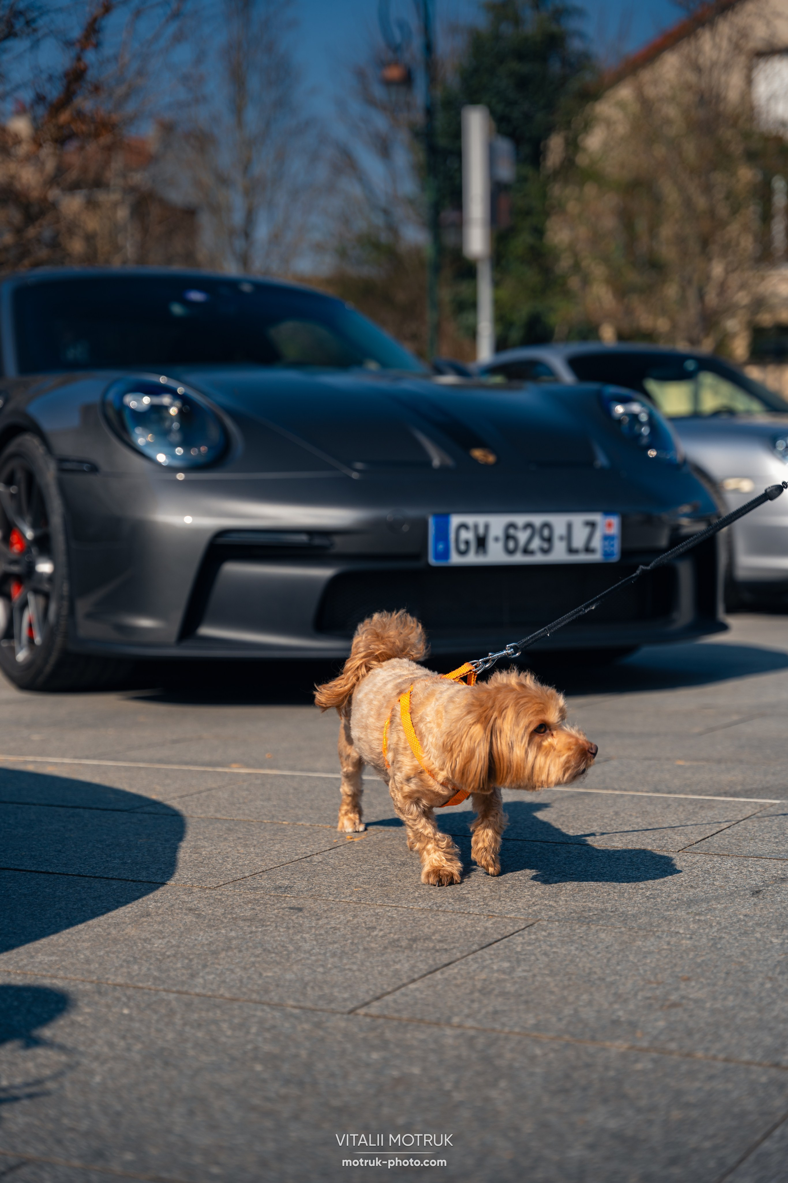 Rassemblement Garenne Colombes — 16 mars. Photographe de voitures à Paris — Vitalii Motruk
