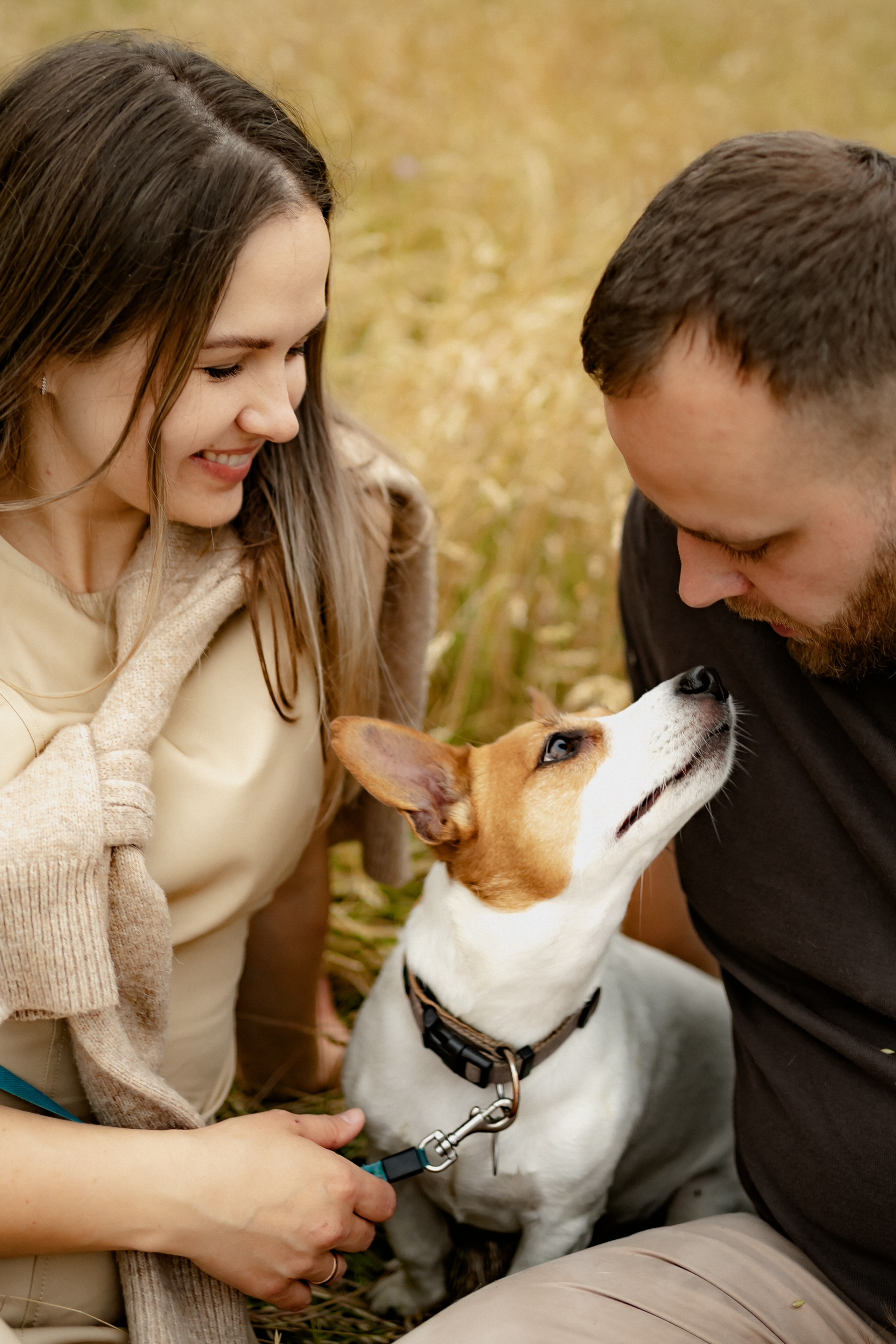 Eltern beschäftigen sich gemeinsam mit ihrem Familienhund bei einem entspannten Fotoshooting.