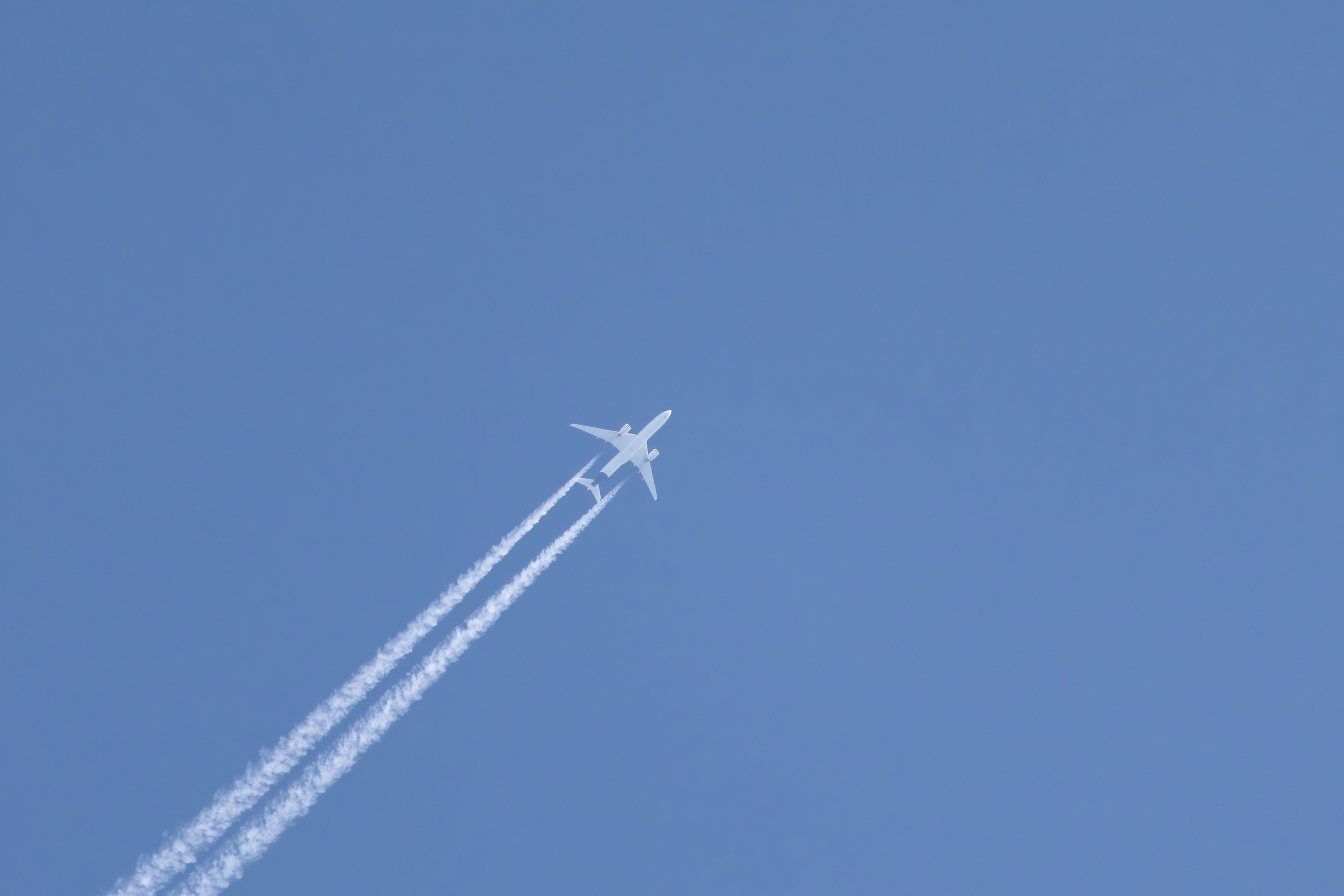 გასეირნება რუსთავის პარკში. FramefreeMan