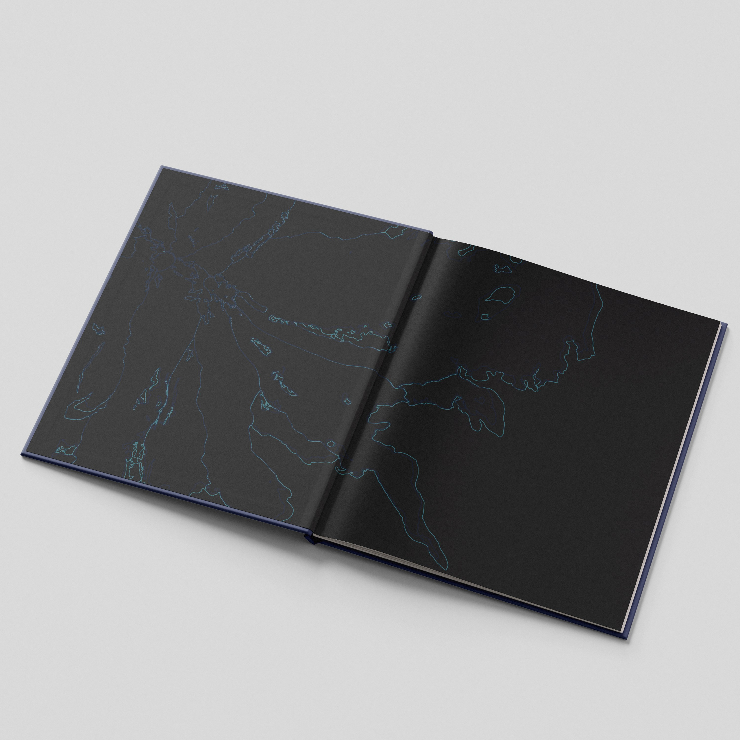 Books. Nelly Elagina