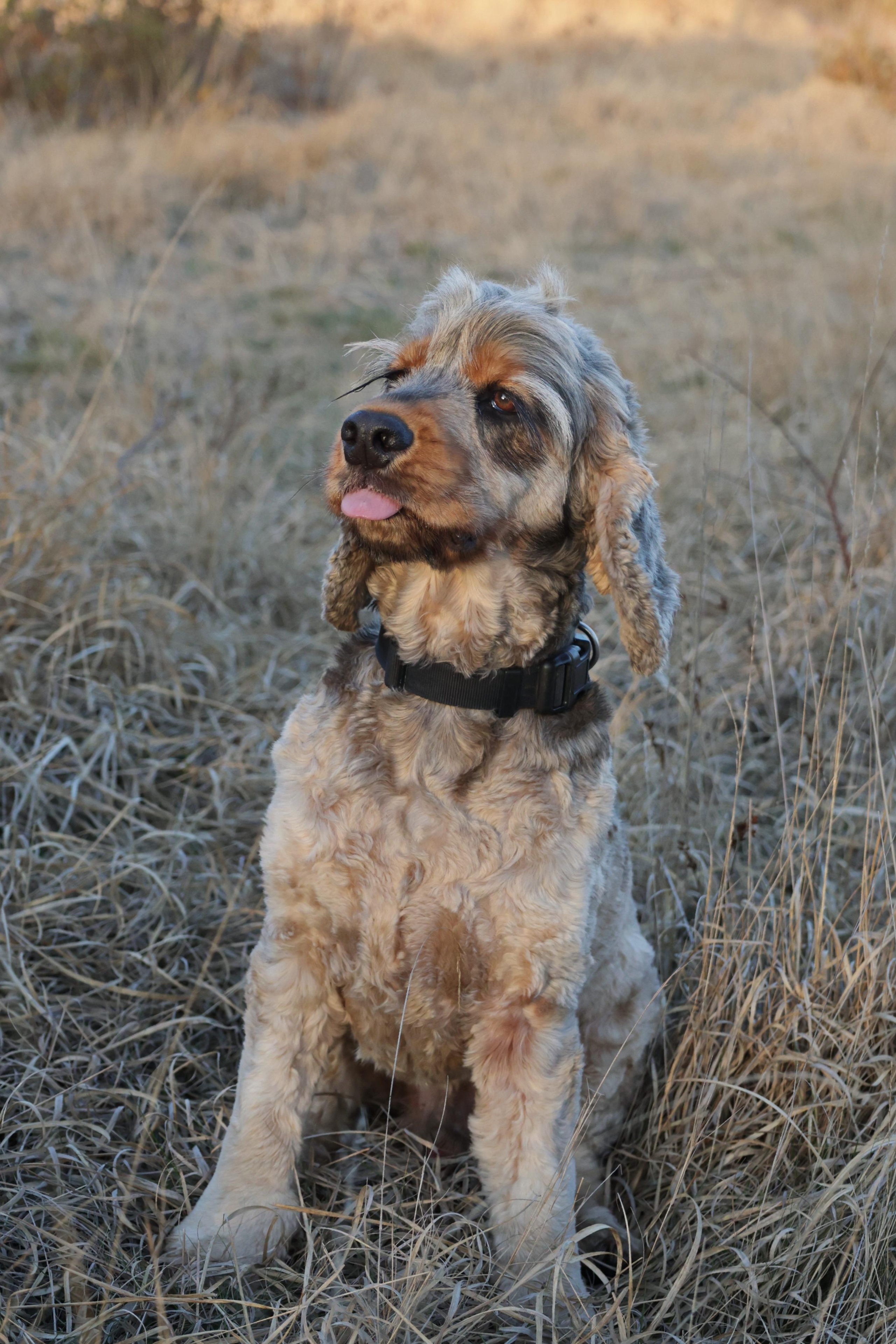 Stories. Couples and portraits photographer Wimbledon London