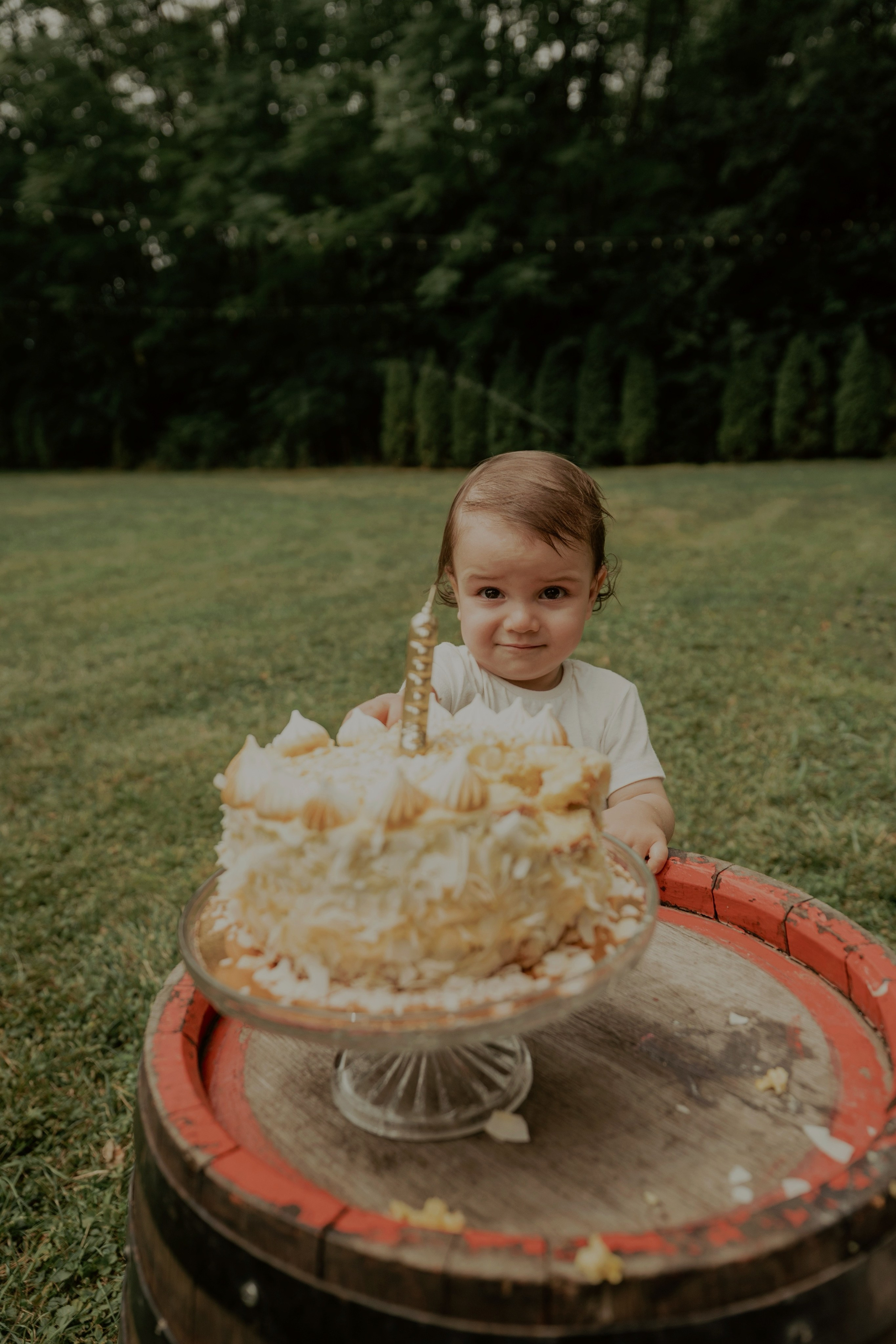 Armin — Micul explorator împlinește 1 an. Emotions Photo Art