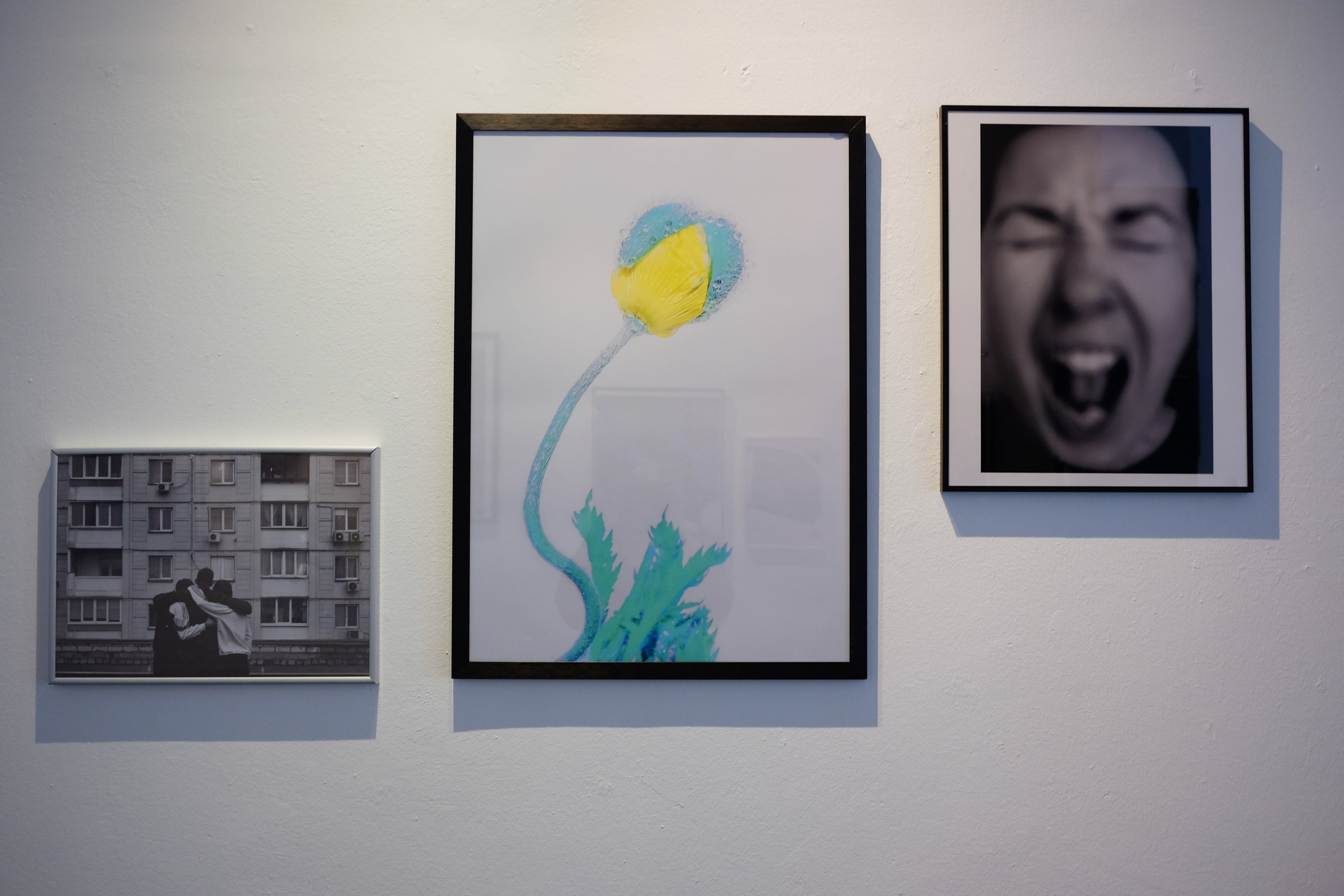 In the Name of Freedom Ganna Biletska AE Galerie Potsdam, Germany