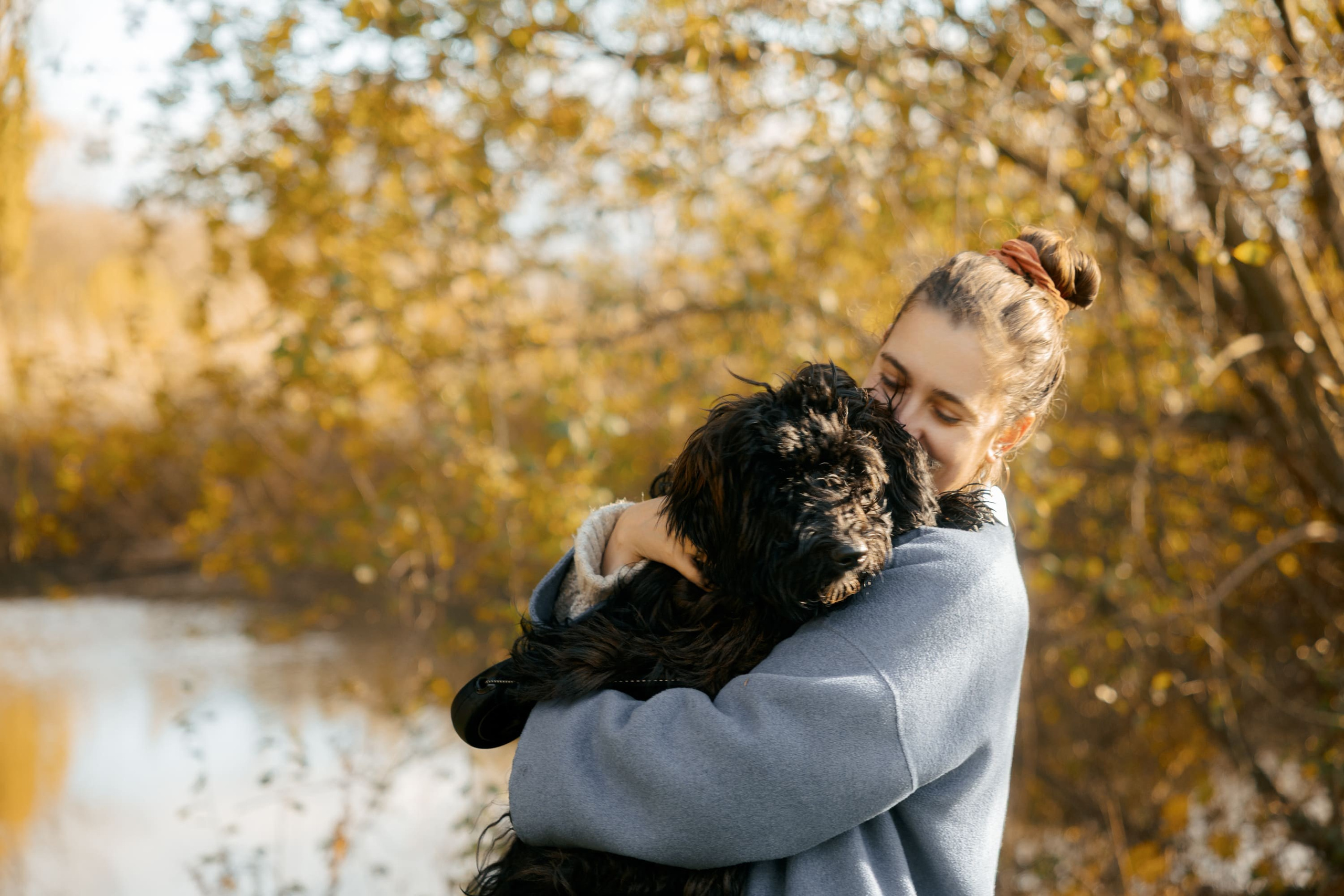Dog & Cat Photographer Rotterdam | Natalia Olhova. Romantic & Soulful Photography by Natalia Olhova in Rotterdam