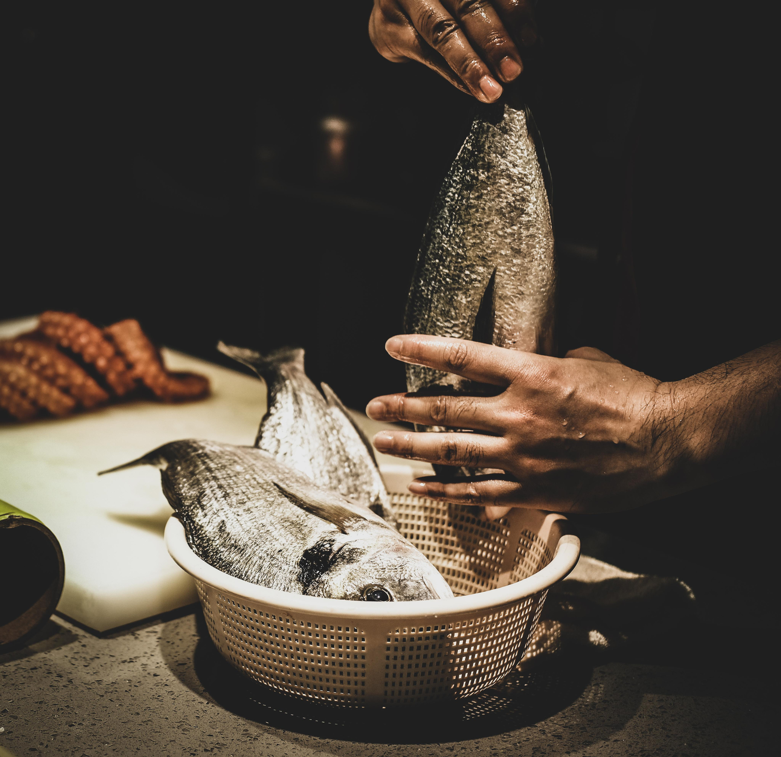 Japanese Sushi in Guangzhou | Sushi Cuisine | Sushi Restaurant | Guangzhou City | Fish | 广州日式寿司 | 寿司料理 | 寿司餐厅 | 广州市 | 鱼 | Guangzhou City Photos