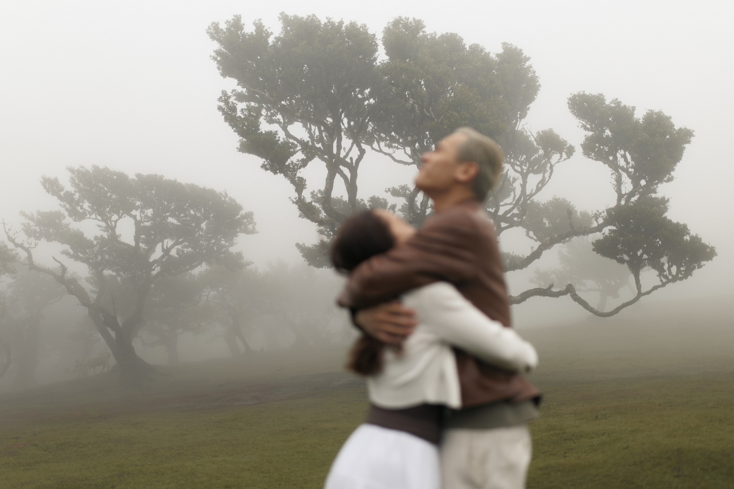 Dream Proposal at Seixal Beach — Romantic Getaway in Madeira. Wedding photographer and videographer based in Timisoara, Romania