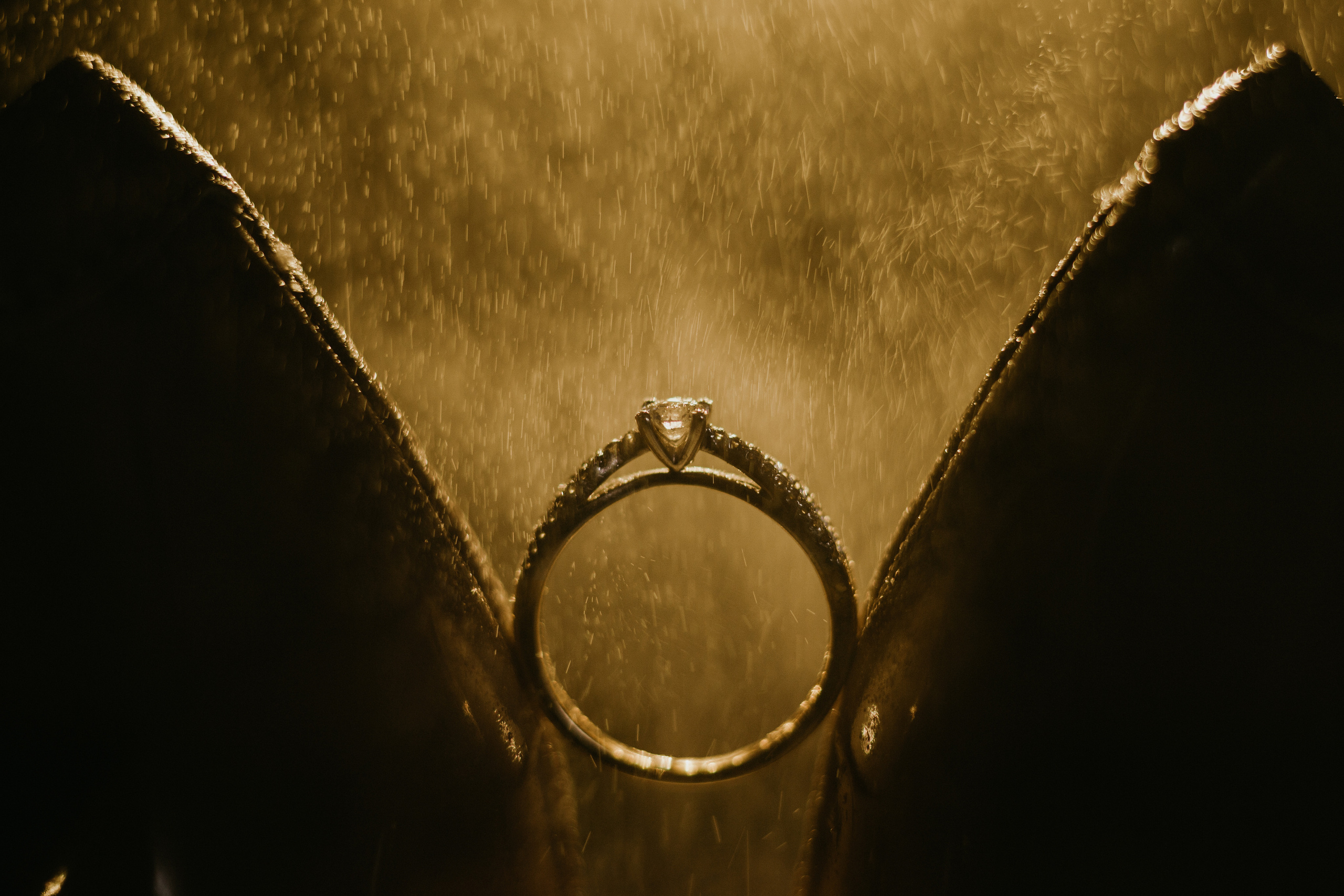 Fotografin Hamburg Reinbek Elizaveta Romanova