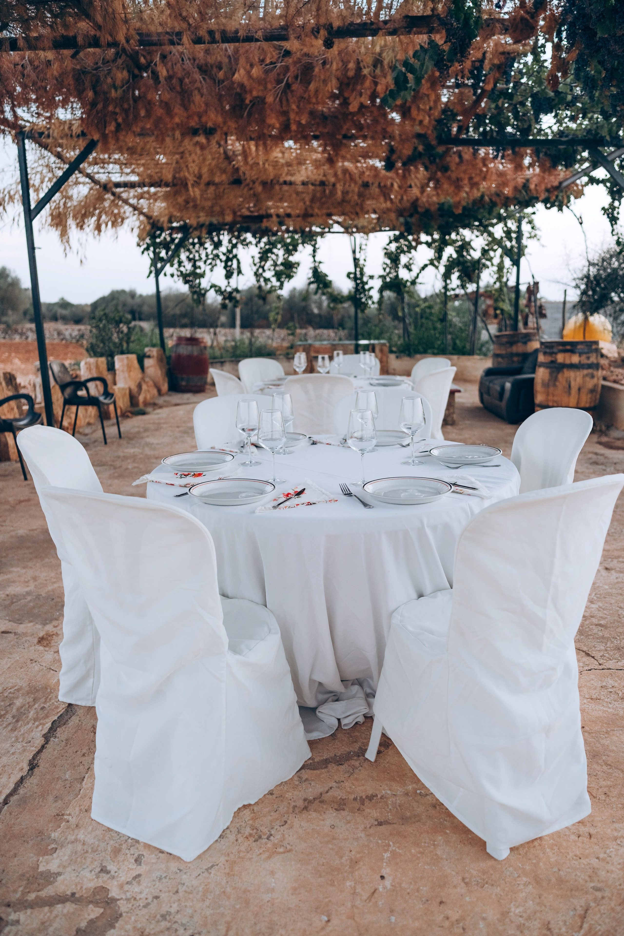 Bodega. Photographer in Mallorca