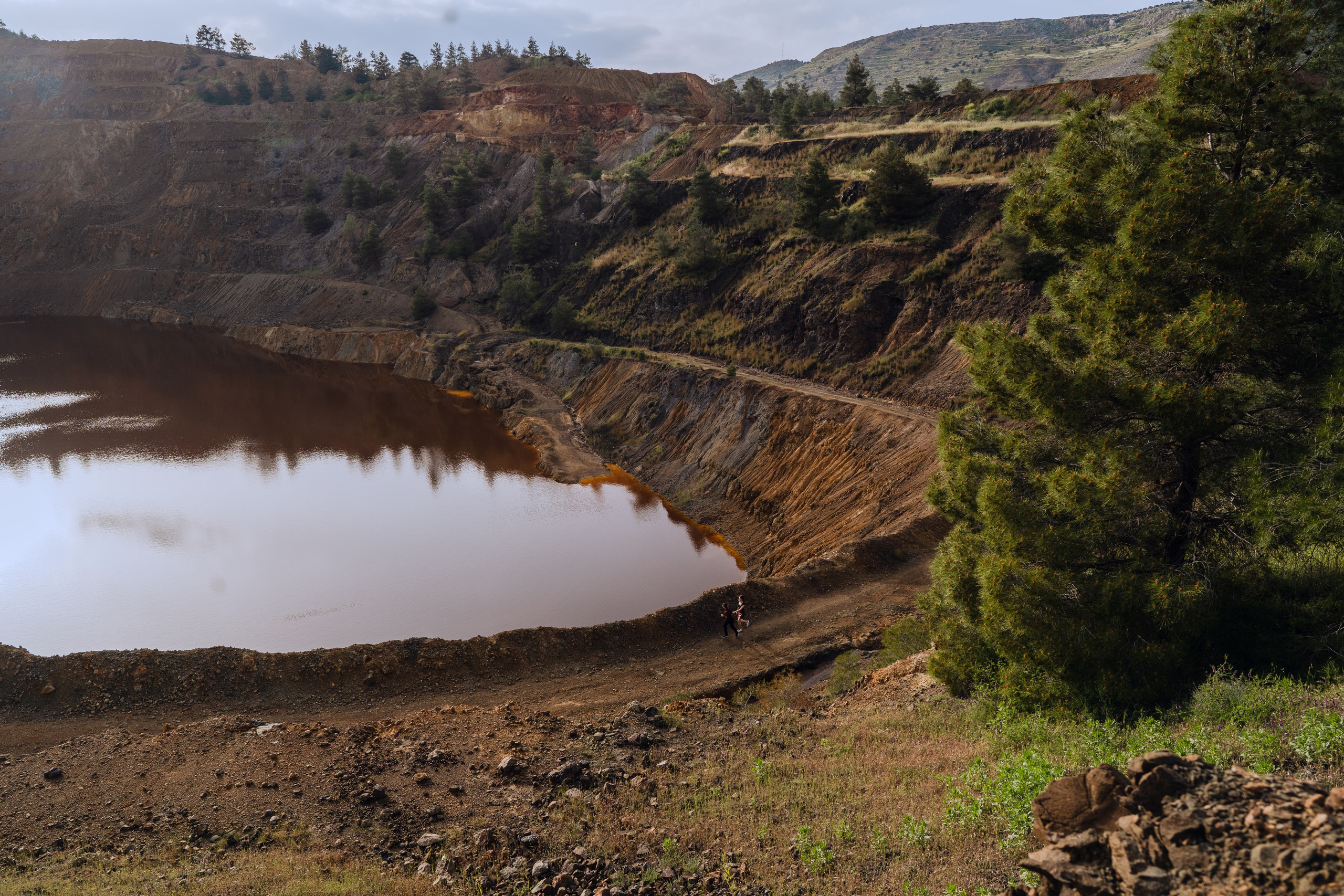 Maryna Avramenko Photographer