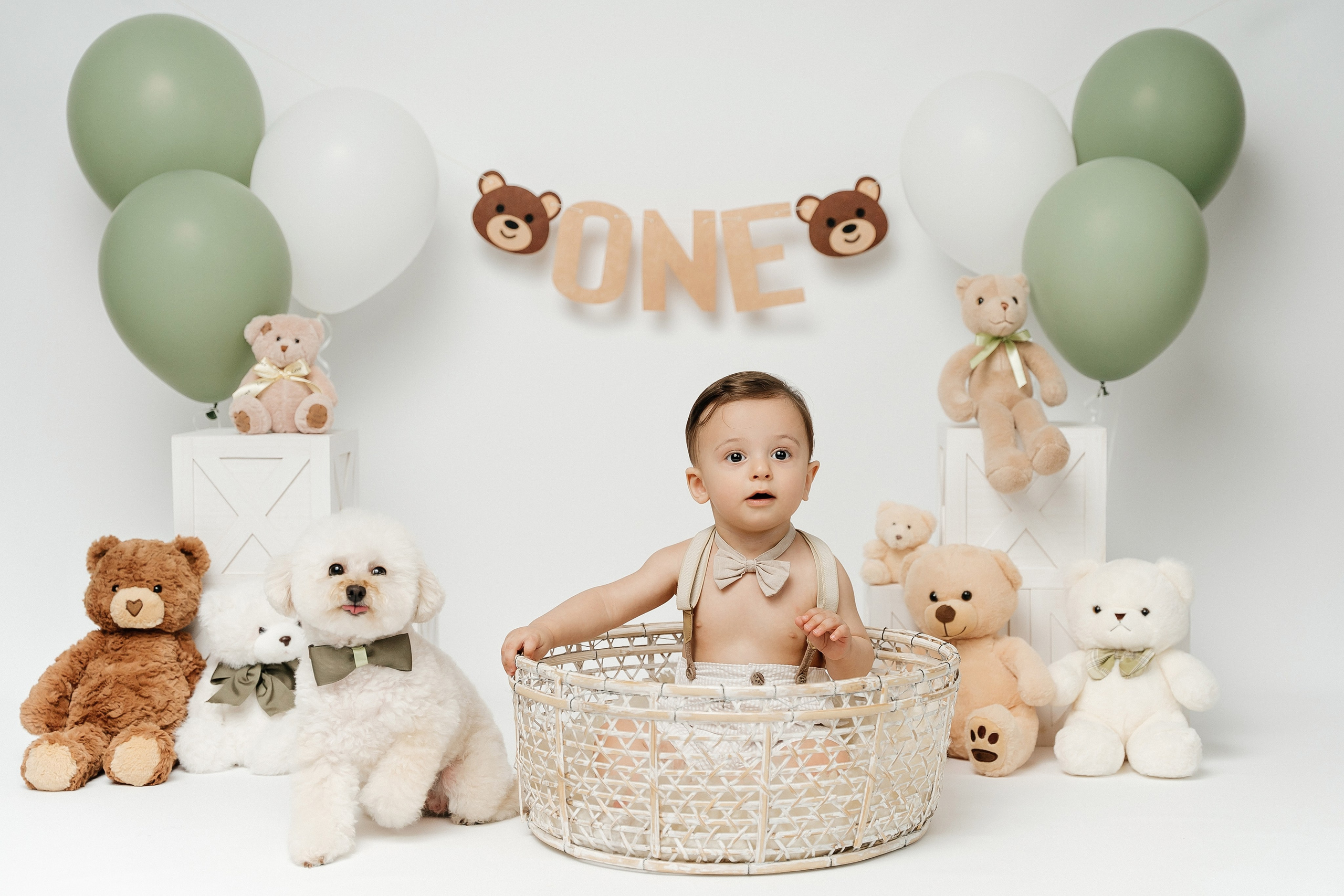 Teddy Bear One Year Cake Smash Photos. Newborn and family photographer. Hills District. Sydney