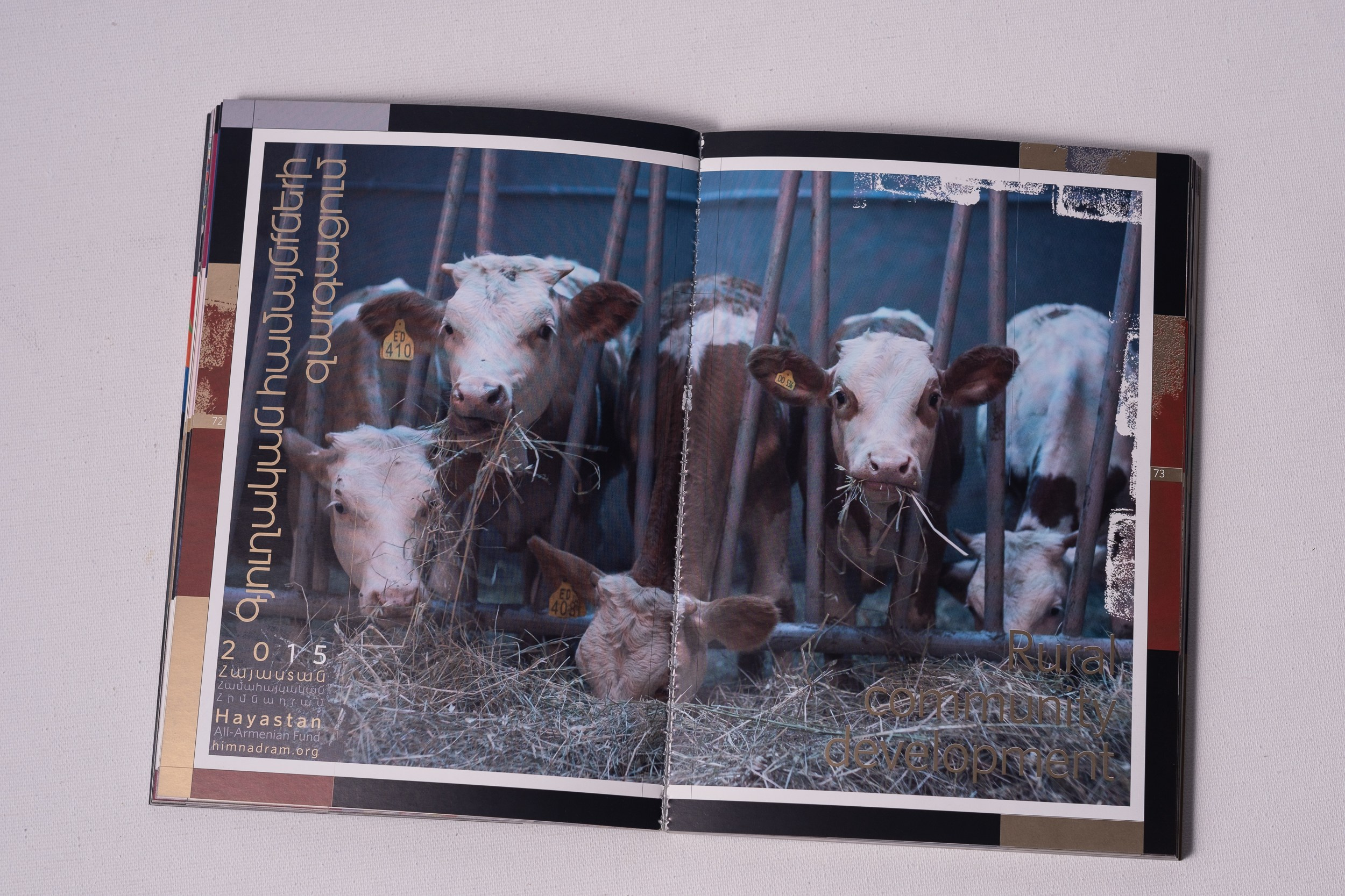 Stories. Areg Balayan — Photographer/Visual Artist