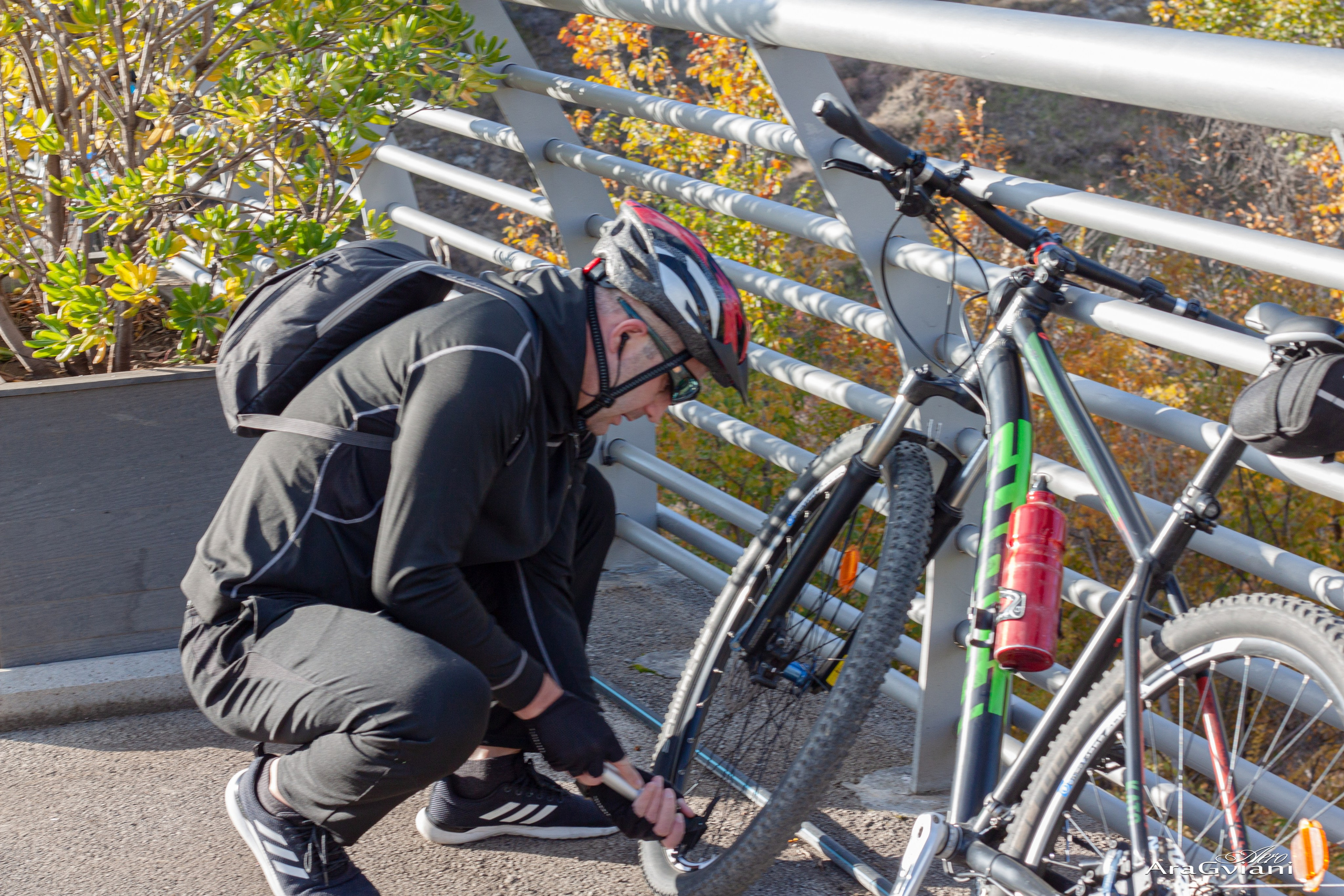 ჰიპოველოს შემოდგომის ველოტური წვერში. FramefreeMan