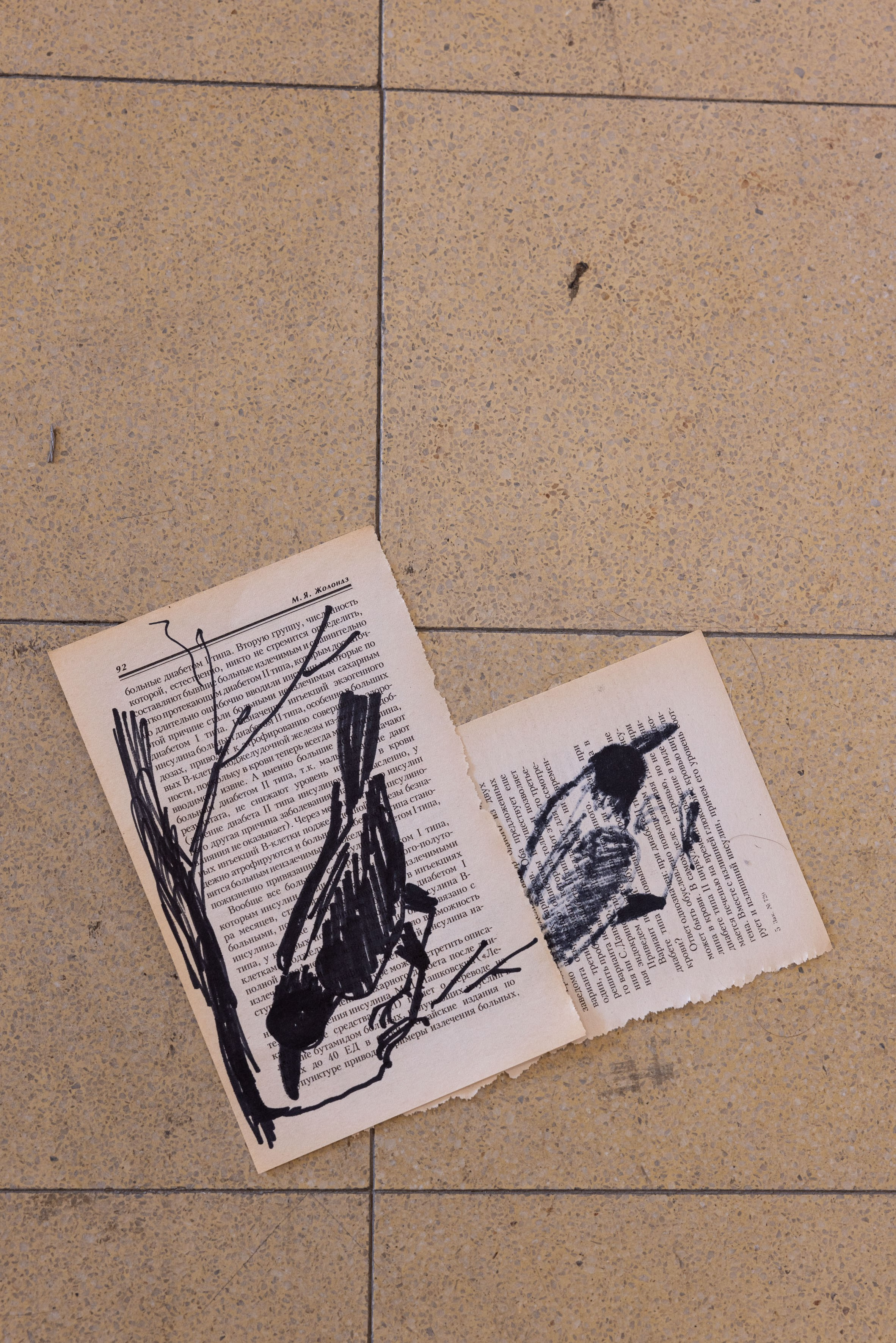 Dad, look, the birds are flying down, 2024. Haim Sokol’s artists website