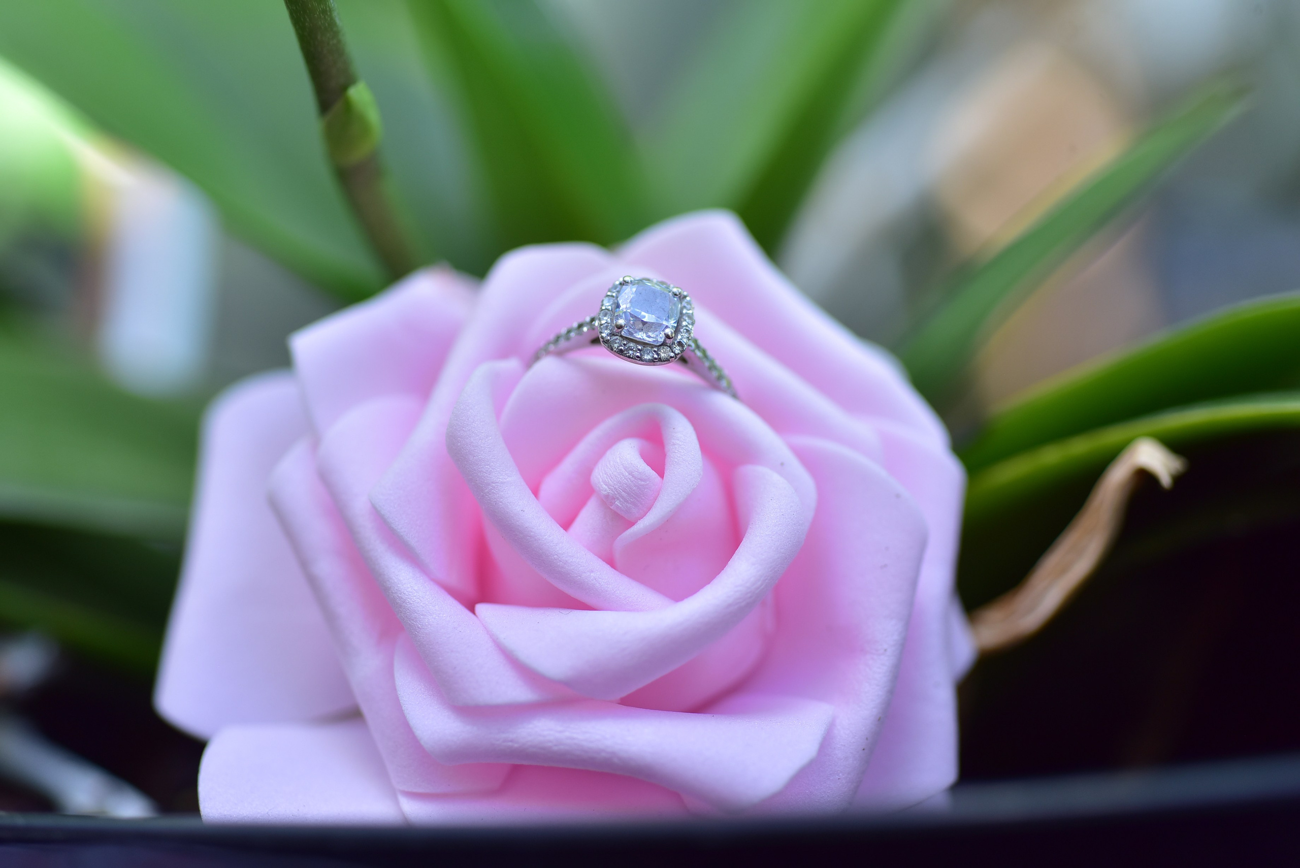 Ashley & Samuel. Wedding and events photographers Studio Shalom