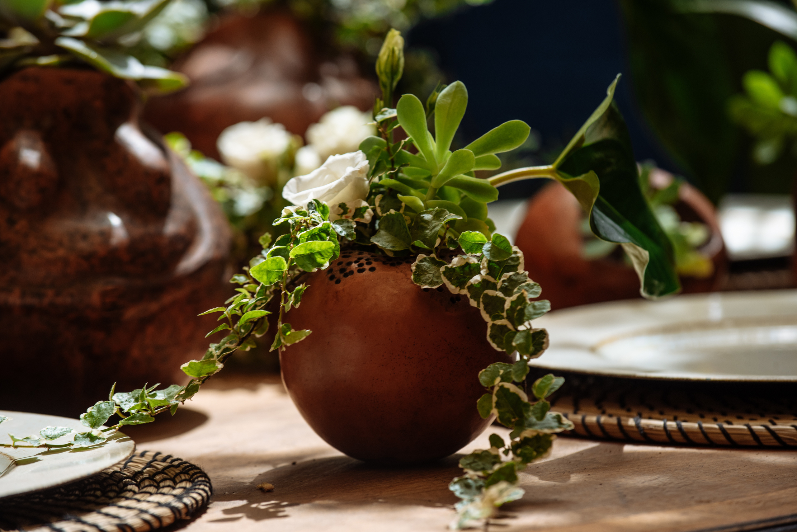 Floratelie. Fotógrafa Ekaterina Gasanova - sesiones de fotos en Barcelona