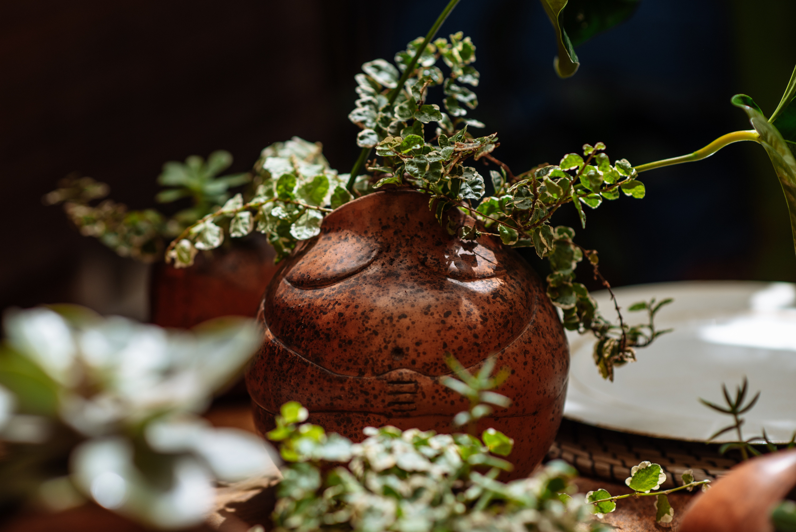 Floratelie. Fotógrafa Ekaterina Gasanova - sesiones de fotos en Barcelona