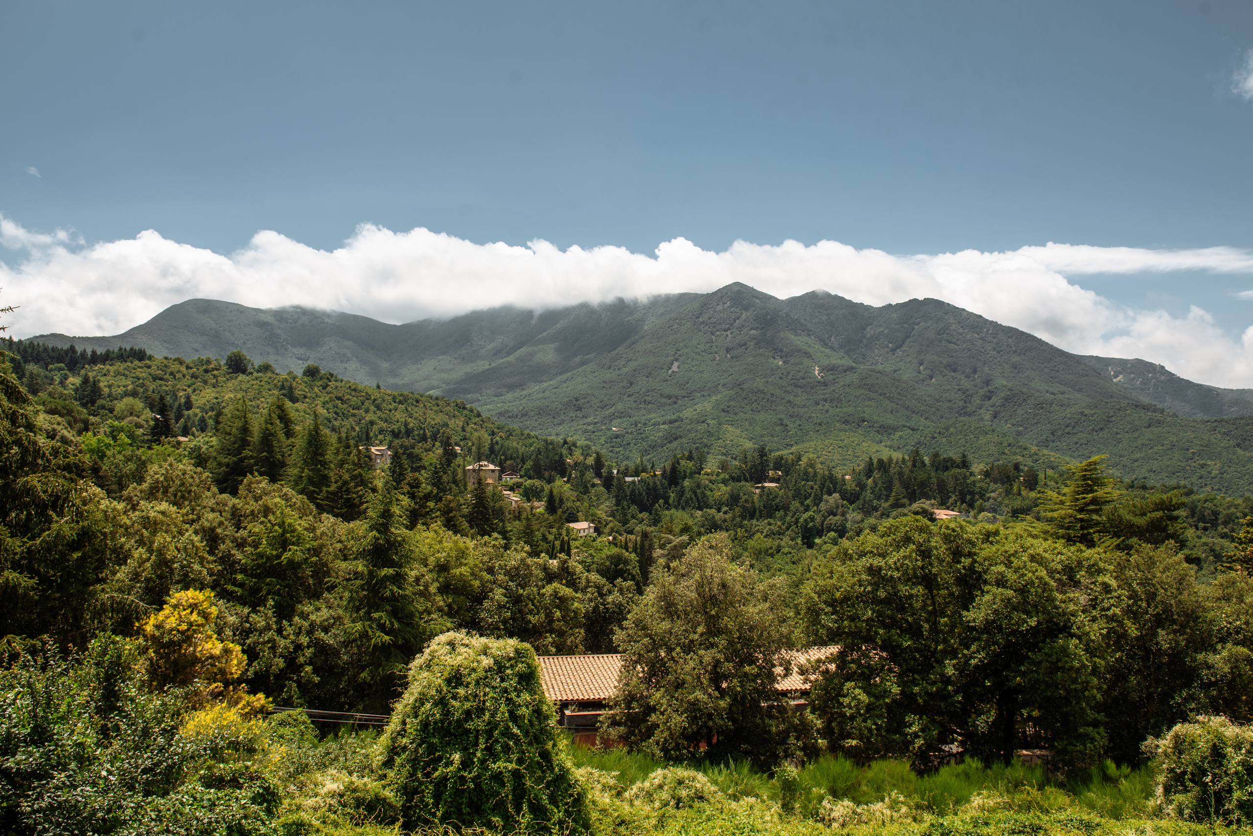Ksenia Chalaya. Фотограф Екатерина Гасанова — фотосессии в Барселоне