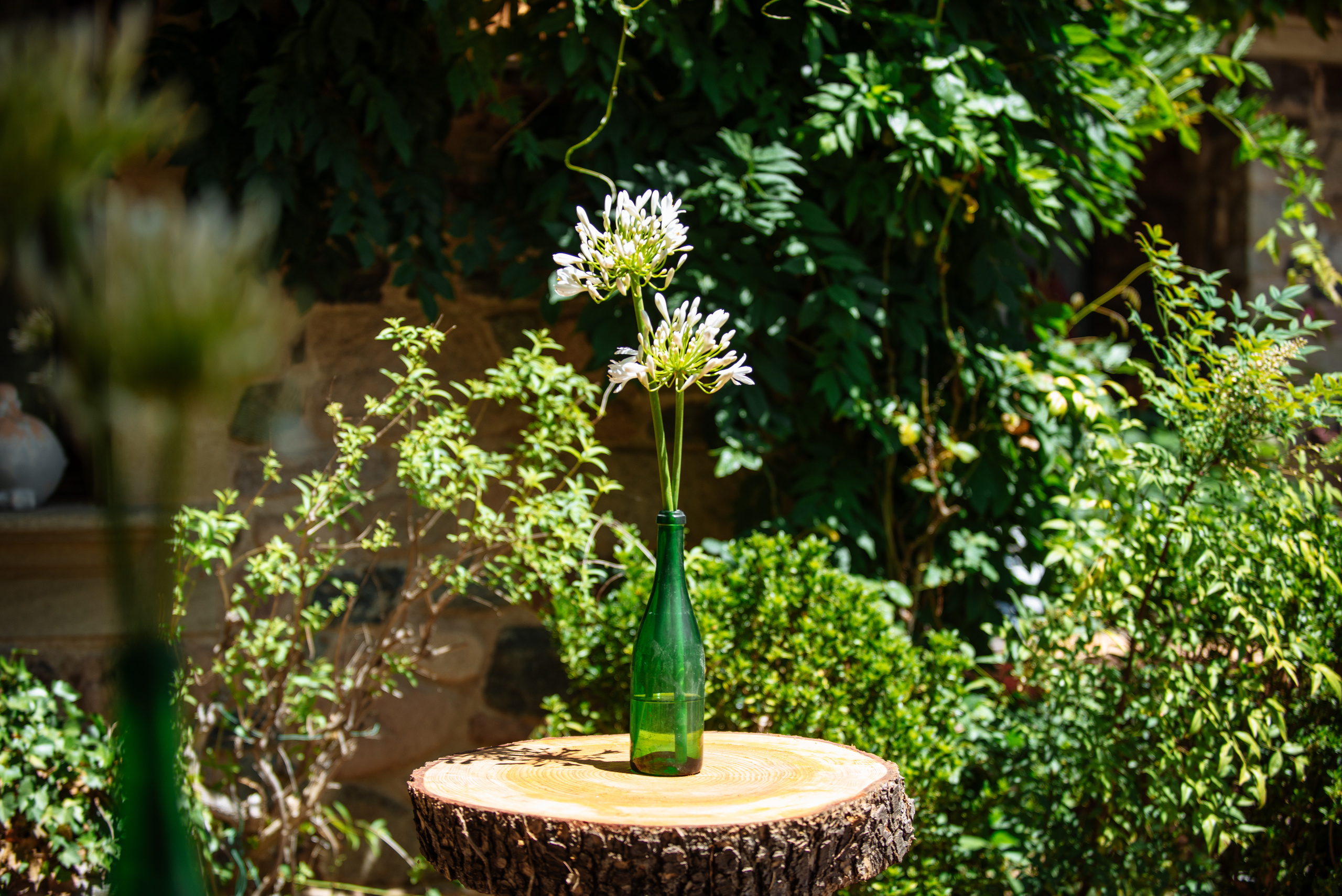 Ksenia Chalaya. Фотограф Екатерина Гасанова — фотосессии в Барселоне