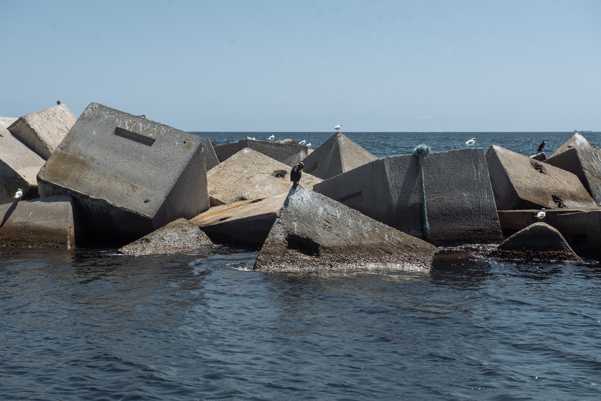 Masha Cumpleaños 18 años. Фотограф Екатерина Гасанова — фотосессии в Барселоне
