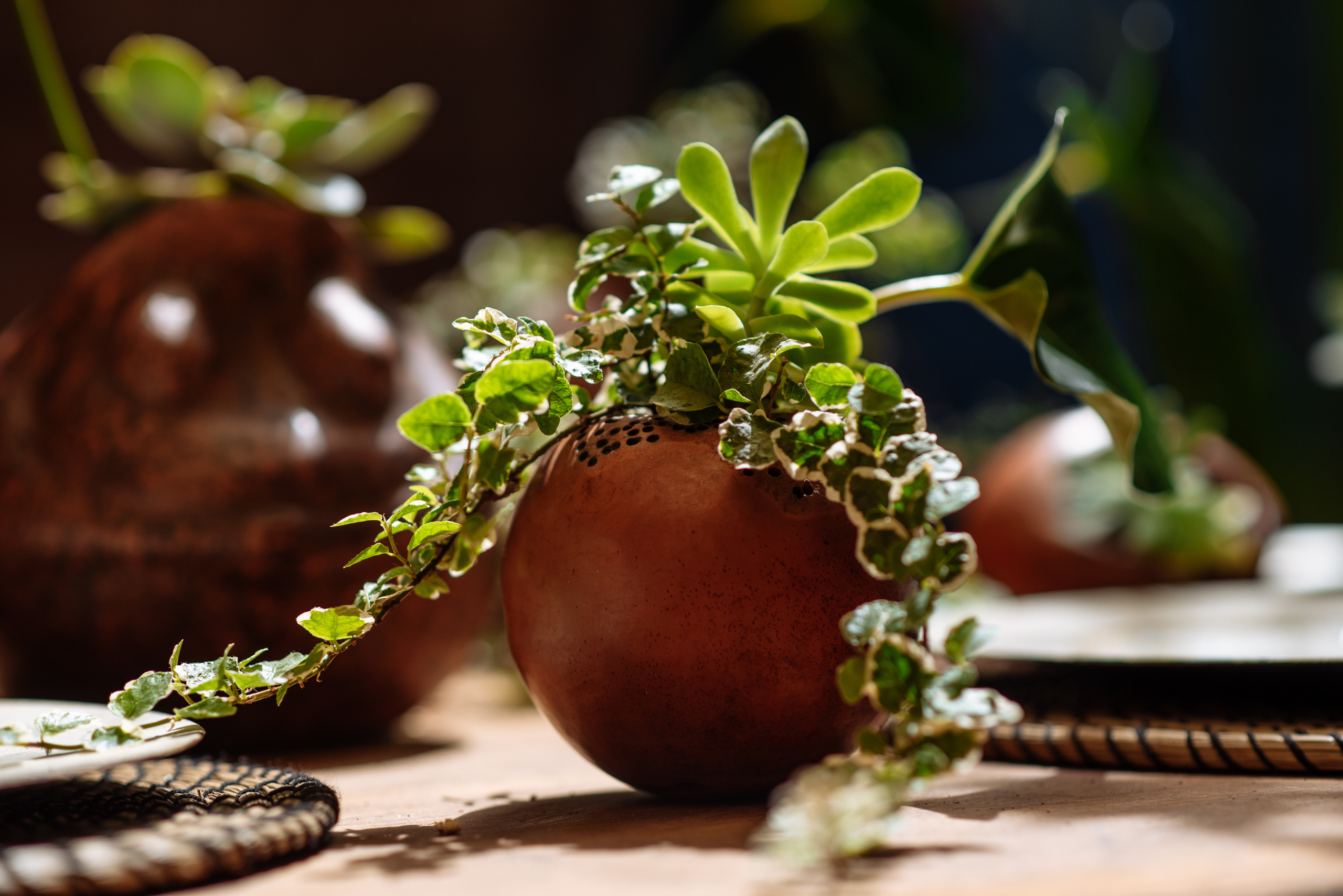 Floratelie. Fotógrafa Ekaterina Gasanova - sesiones de fotos en Barcelona