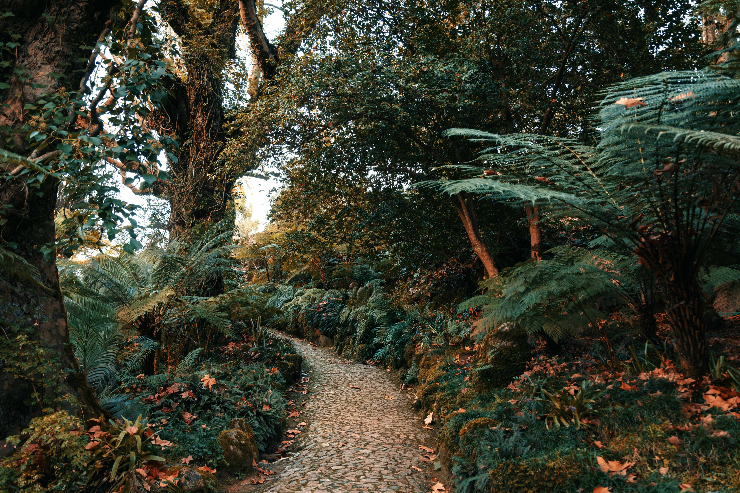 Irina & Max Elopment Sintra. Filmes e Fotografia Cinematográfica de Casamento em Portugal | Ricardo & Mary Pictures