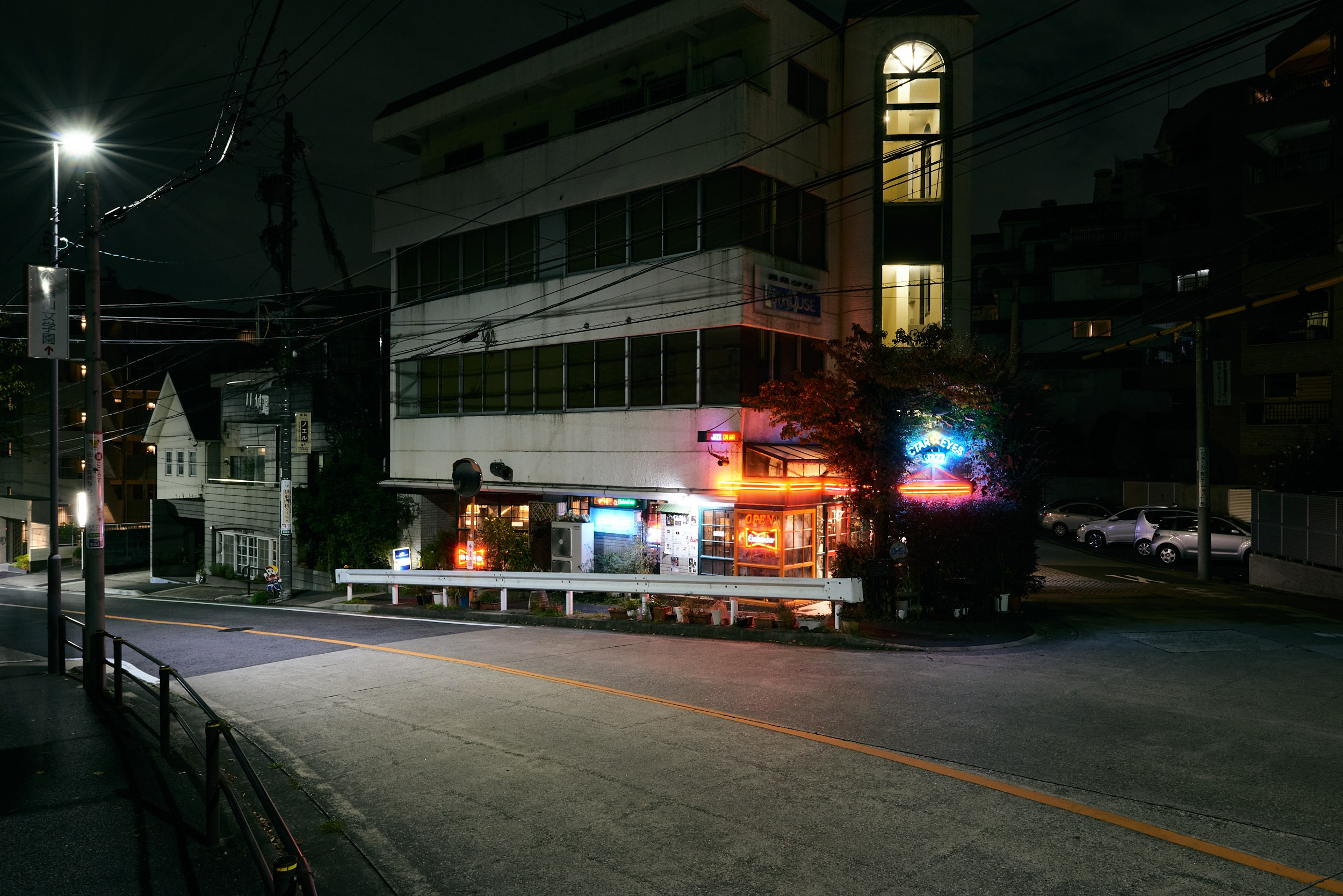 The Music Lovers. MT