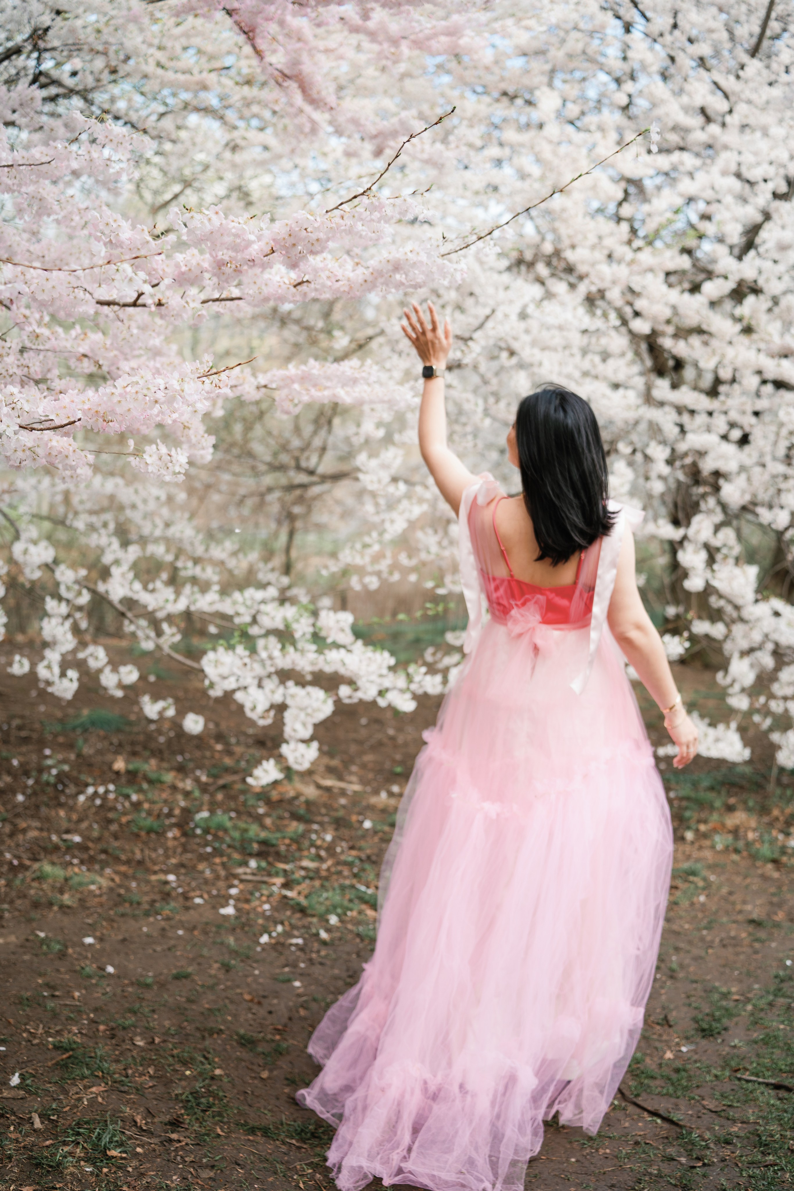 Sakura Photoshoot in New York. Photographer in New York Faery By Mary