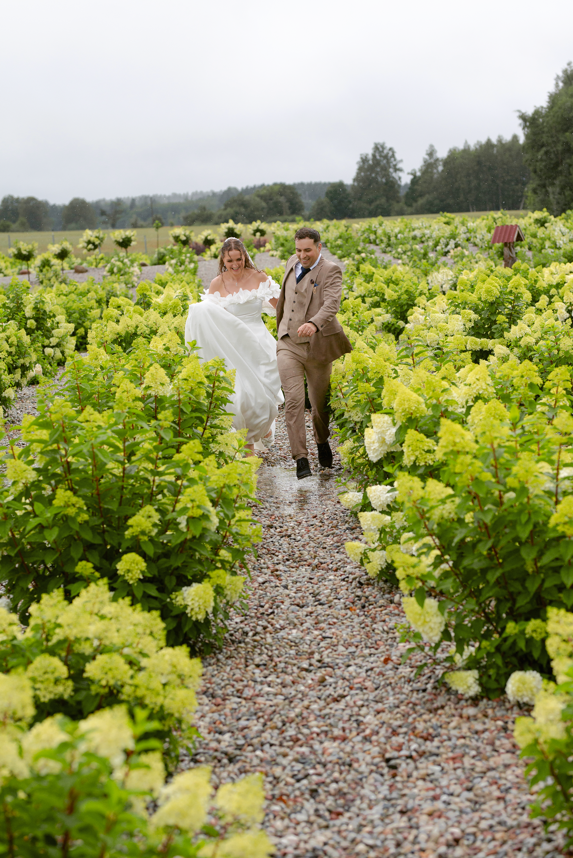 Vestuvių ir šeimos švenčių fotografė