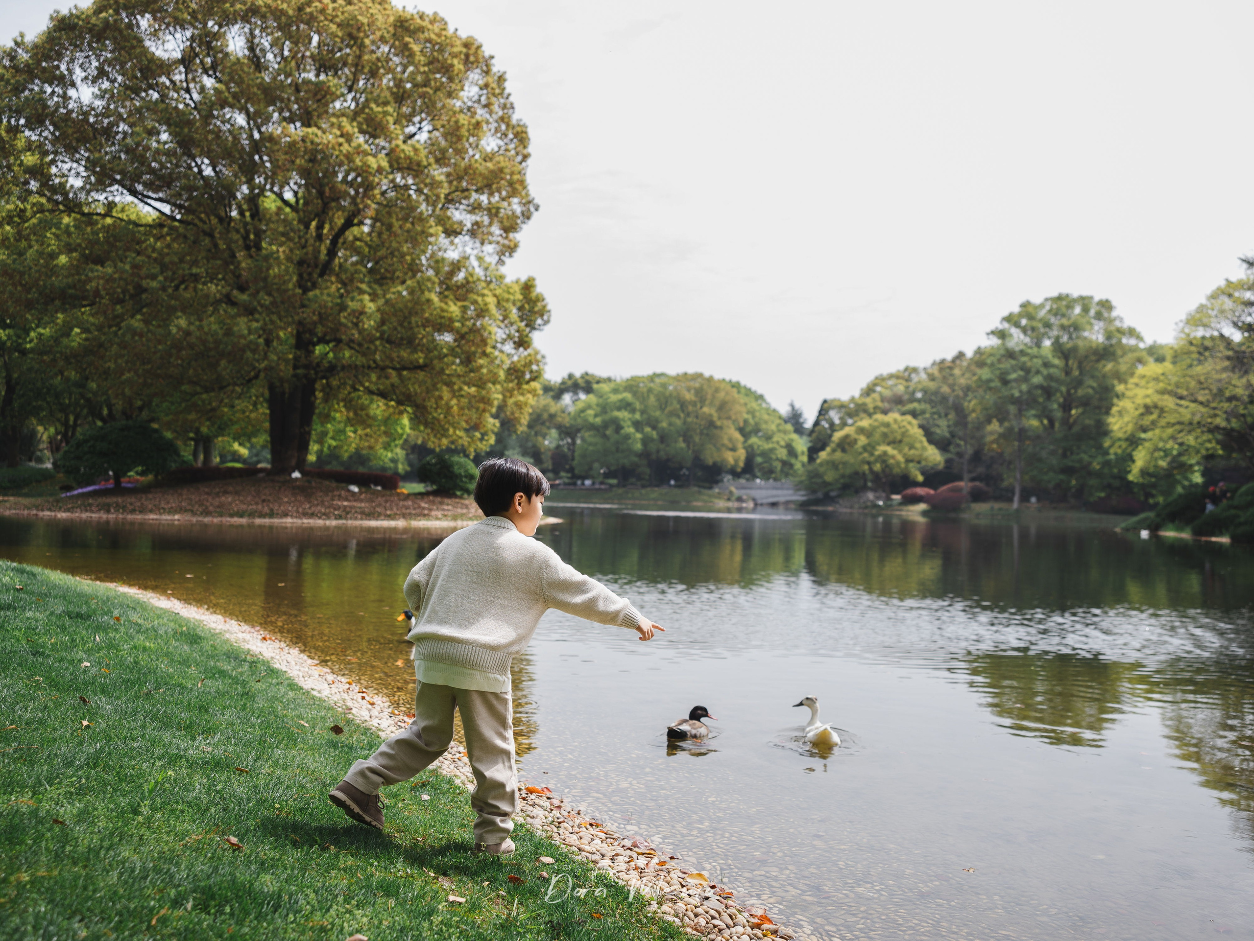 Shanghai Family Photography — A Singapore Family’s Sping Park Session