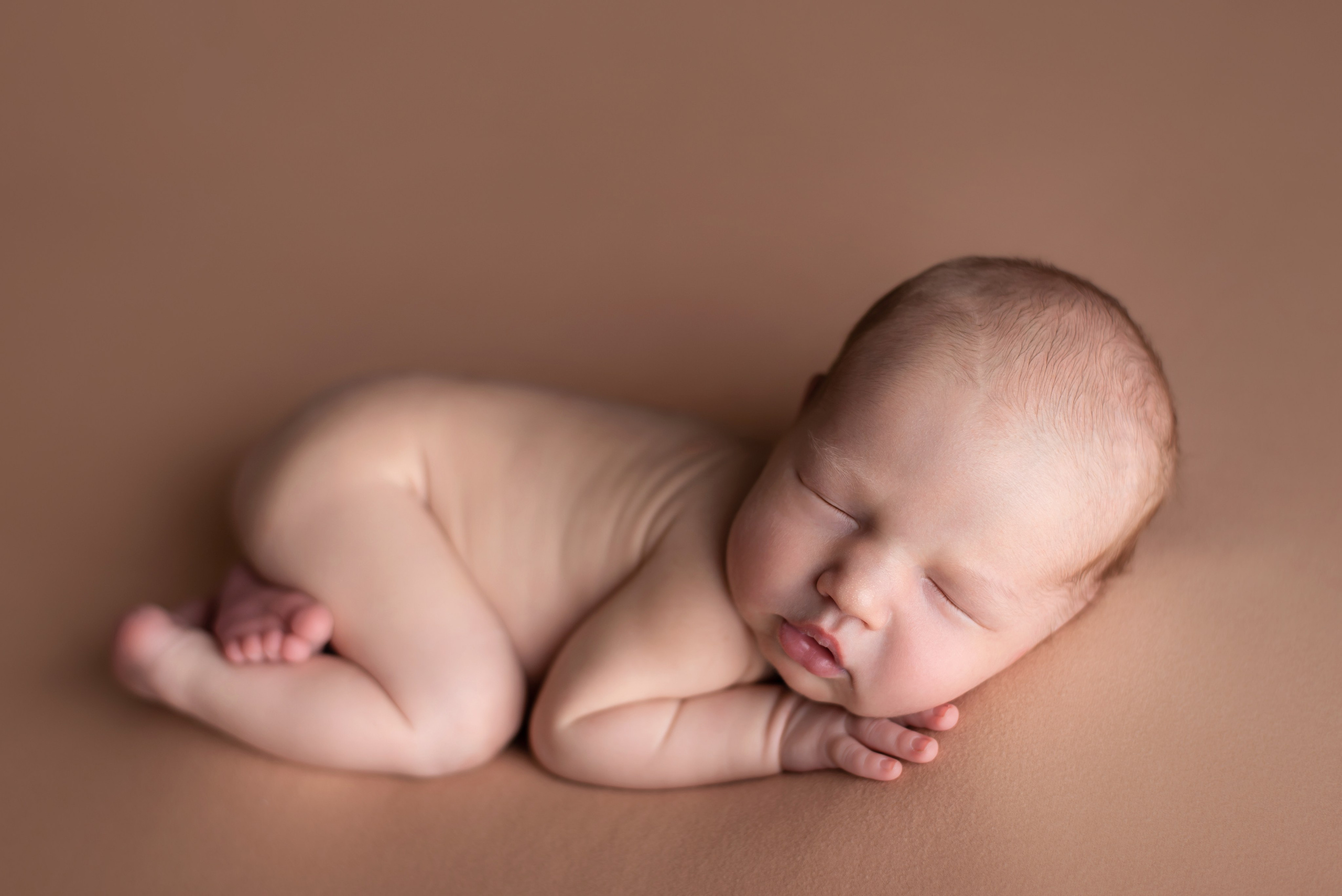 Newborn gallery. In-home newborn photography Raleigh & area Katya Kulikova