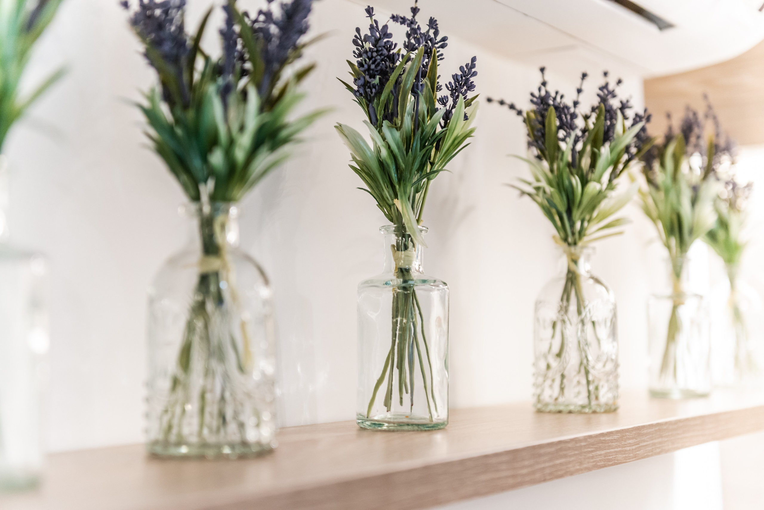 Салон красоты Империя цвета. ФОТОГРАФ МЕКСИКА КИНТАНА-РОО