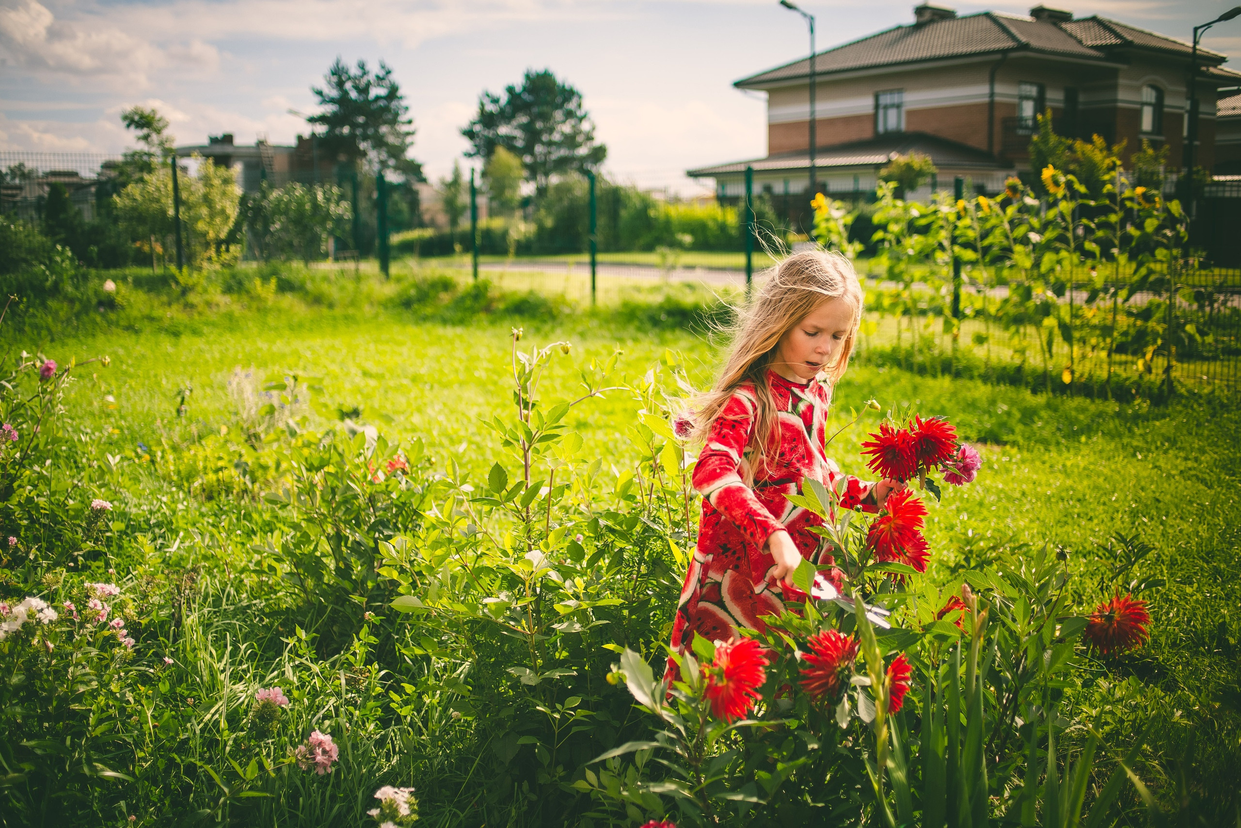 Photojournalistic-style. Portraits and photojournalistic photograph