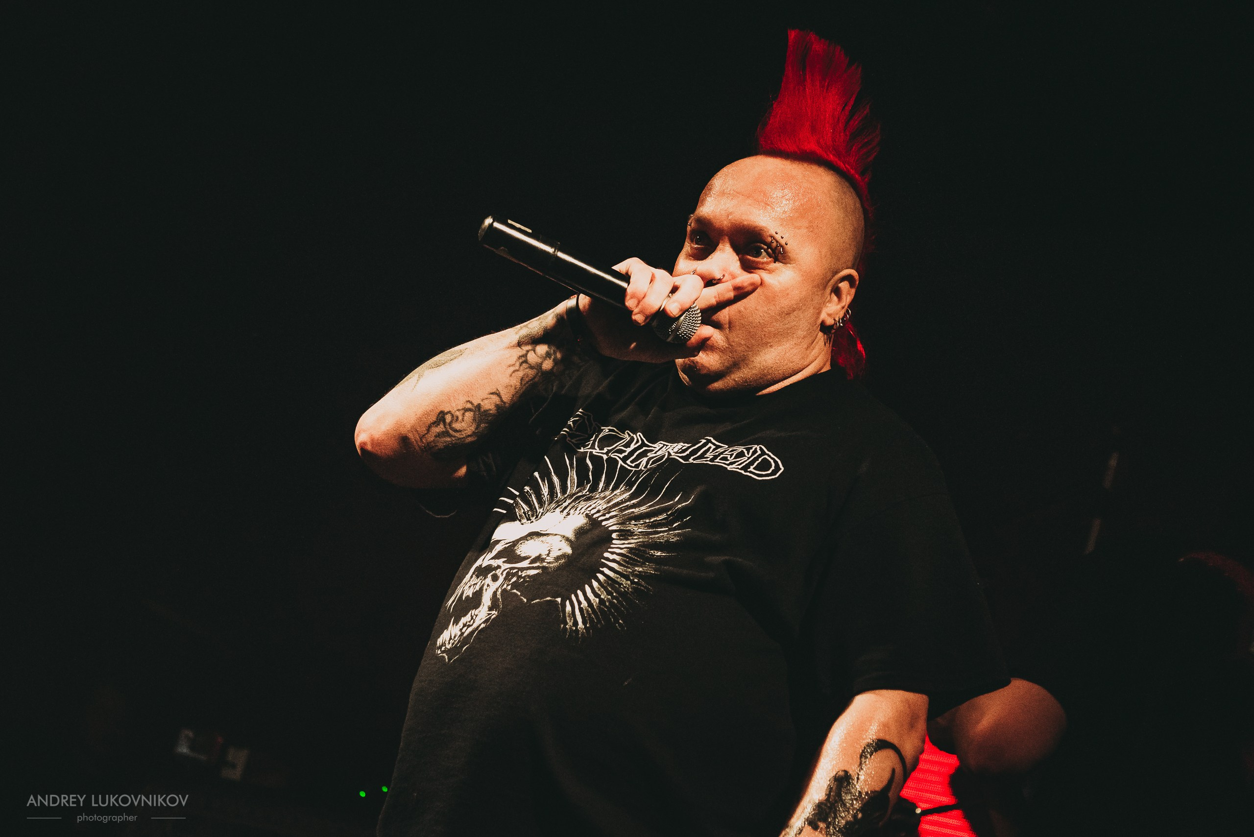 The Exploited. Tour 2017